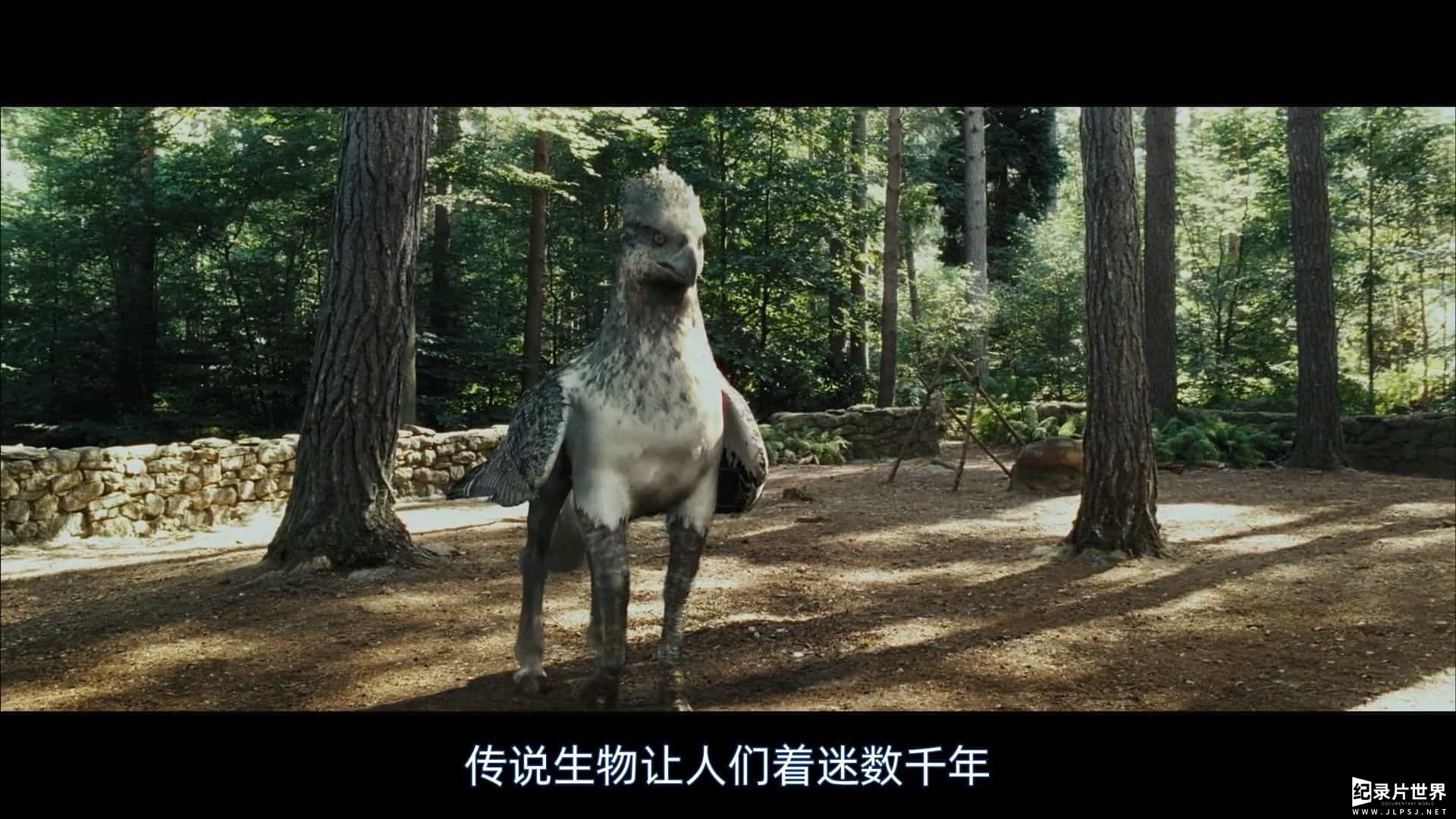 BBC纪录片《神奇动物：一段自然历史/神奇动物：自然历史 Fantastic Beasts: A Natural History 2022》全1集