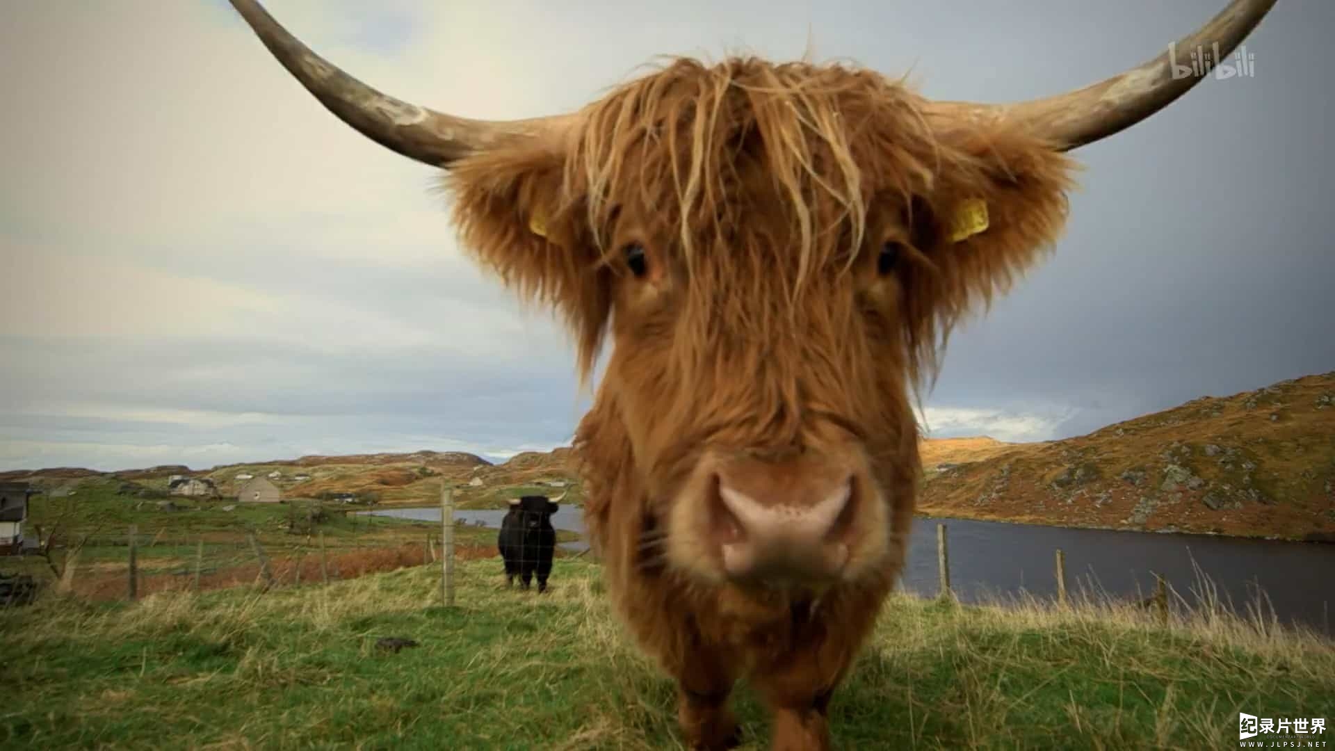 BBC纪录片/英国最美乡村生活《农耕生活 This Farming Life》全12集