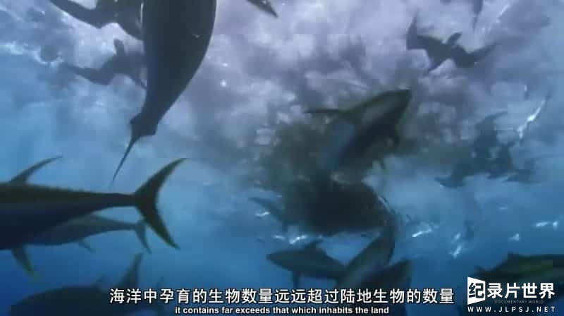 BBC纪录片《蓝色星球 Blue Planet》全10集