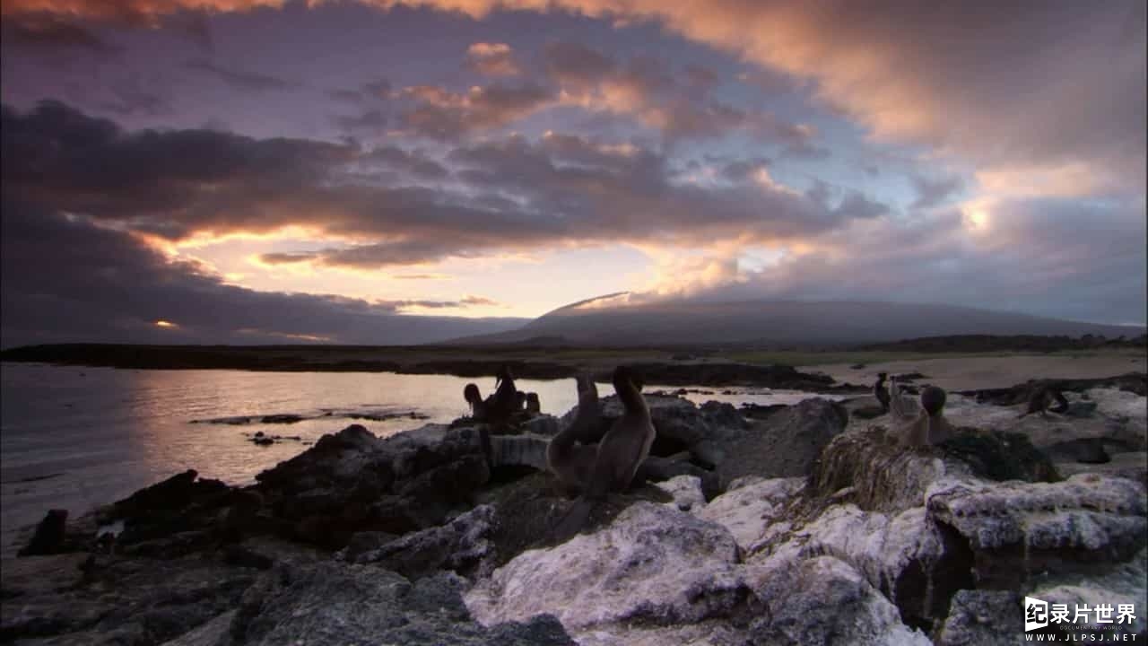 BBC纪录片《加拉帕戈斯群岛 Galapagos》全3集