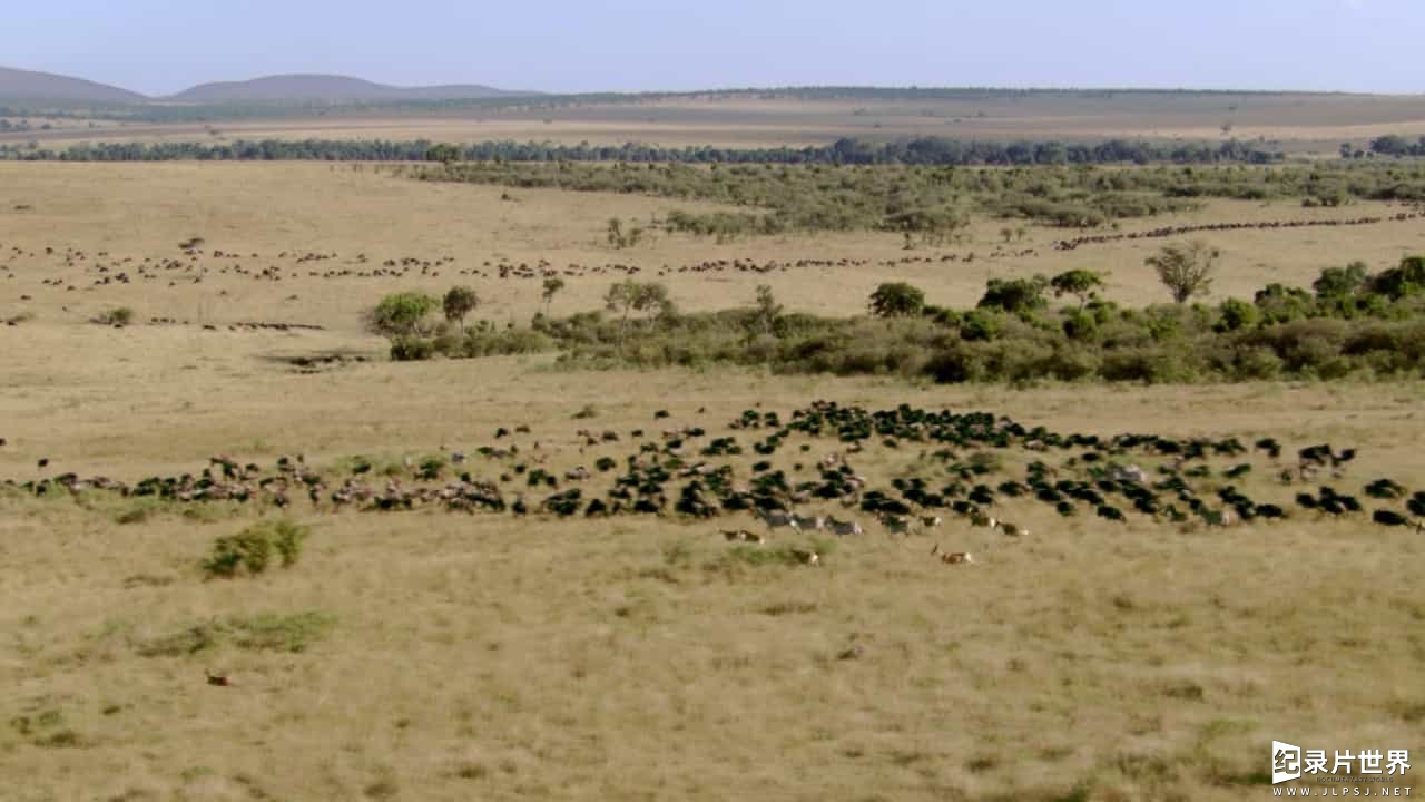 精选系列/BBC纪录片《大自然法则/自然的运作 How Nature Works》全4集