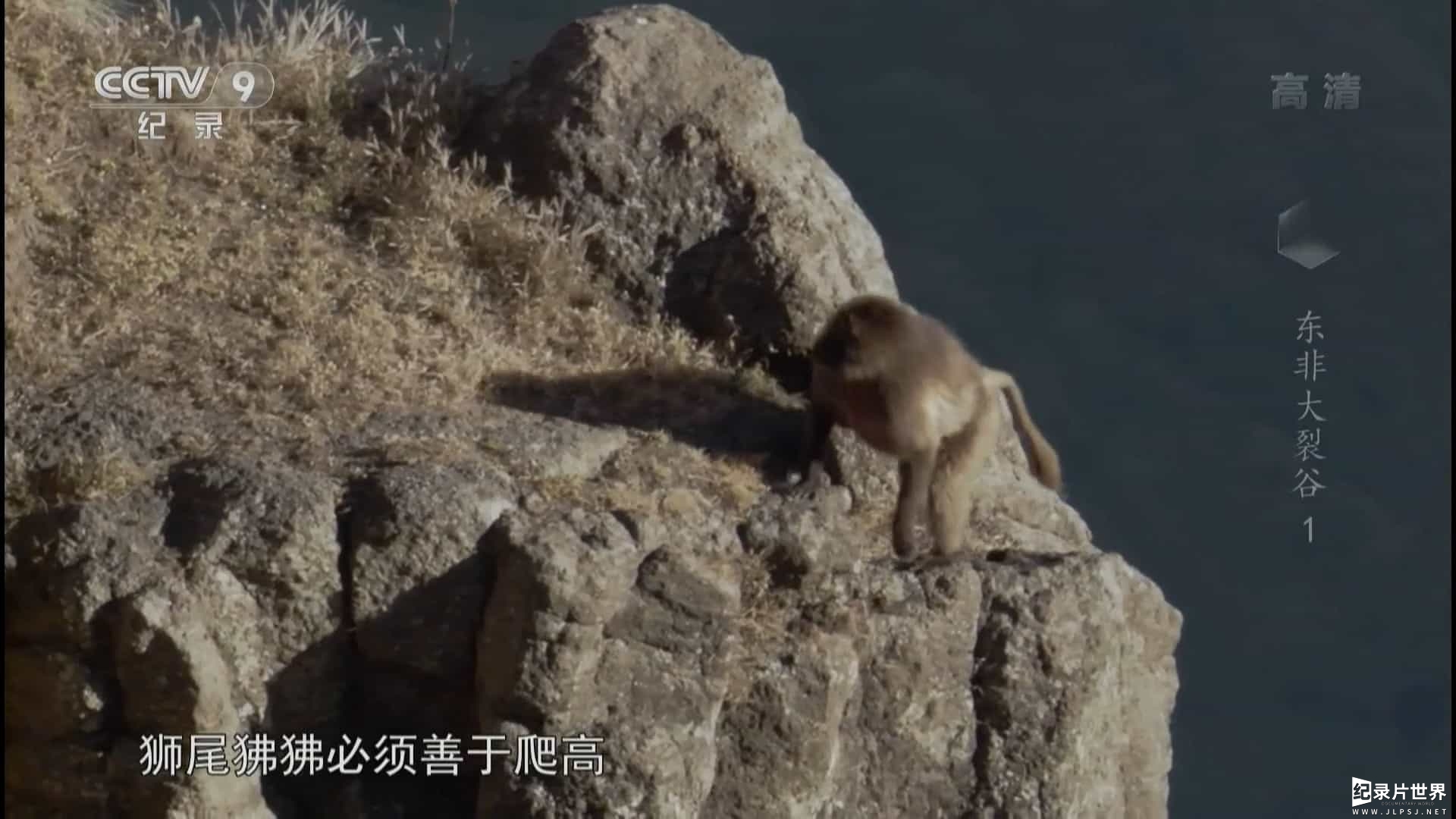 BBC纪录片《东非大裂谷 美丽的非洲心脏 The Great Rift: Africa’s Wild Heart》全3集