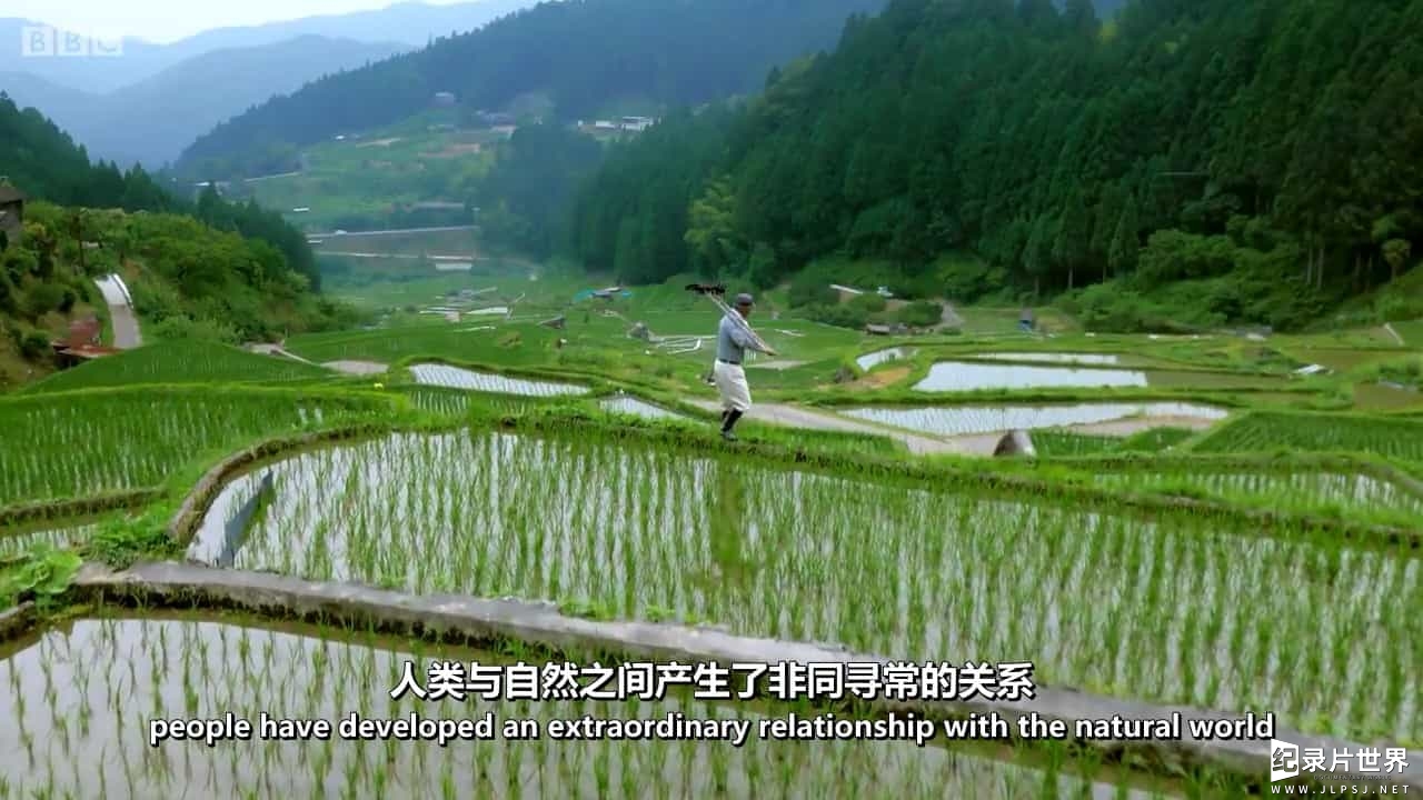 BBC纪录片《日本：地球迷人之岛/狂野日本  Japan：Earths Enchanted Islands》全3集