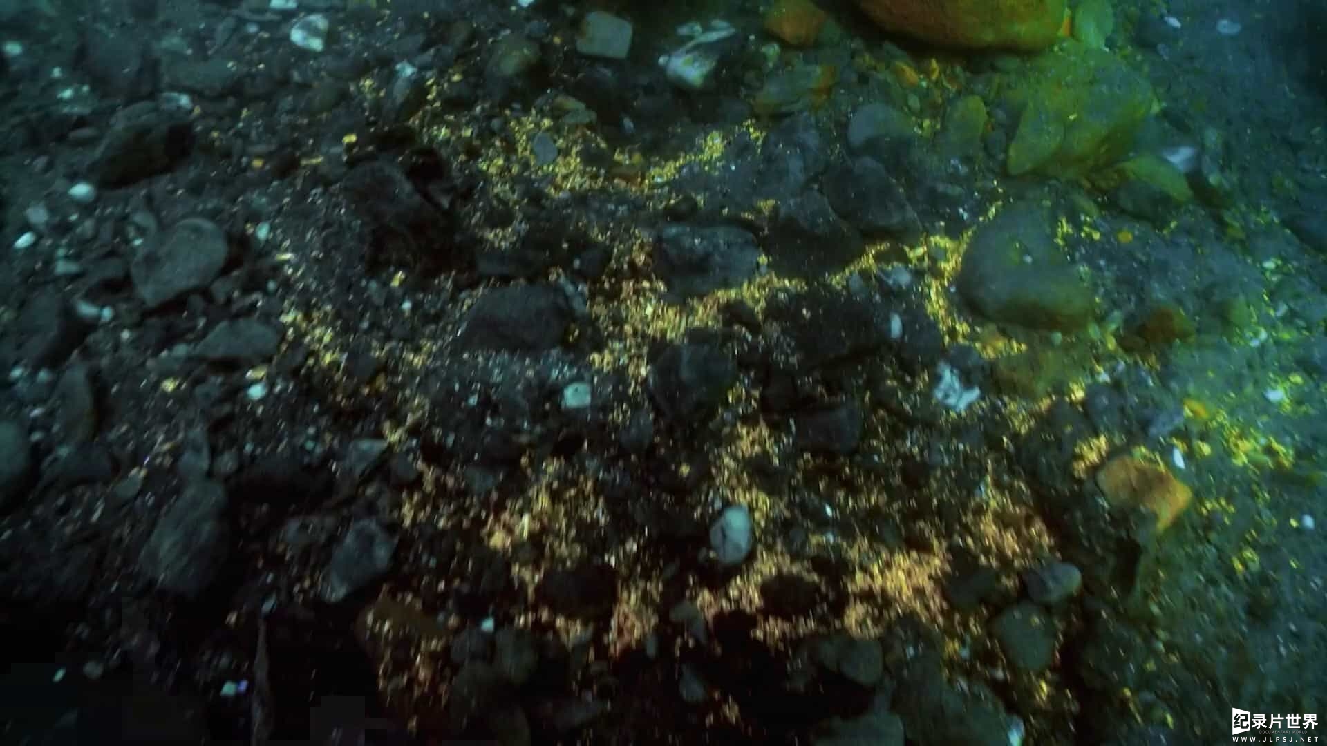 淘金真人秀冒险纪录片《白令海大吸金 Bering Sea Gold》第1-14季