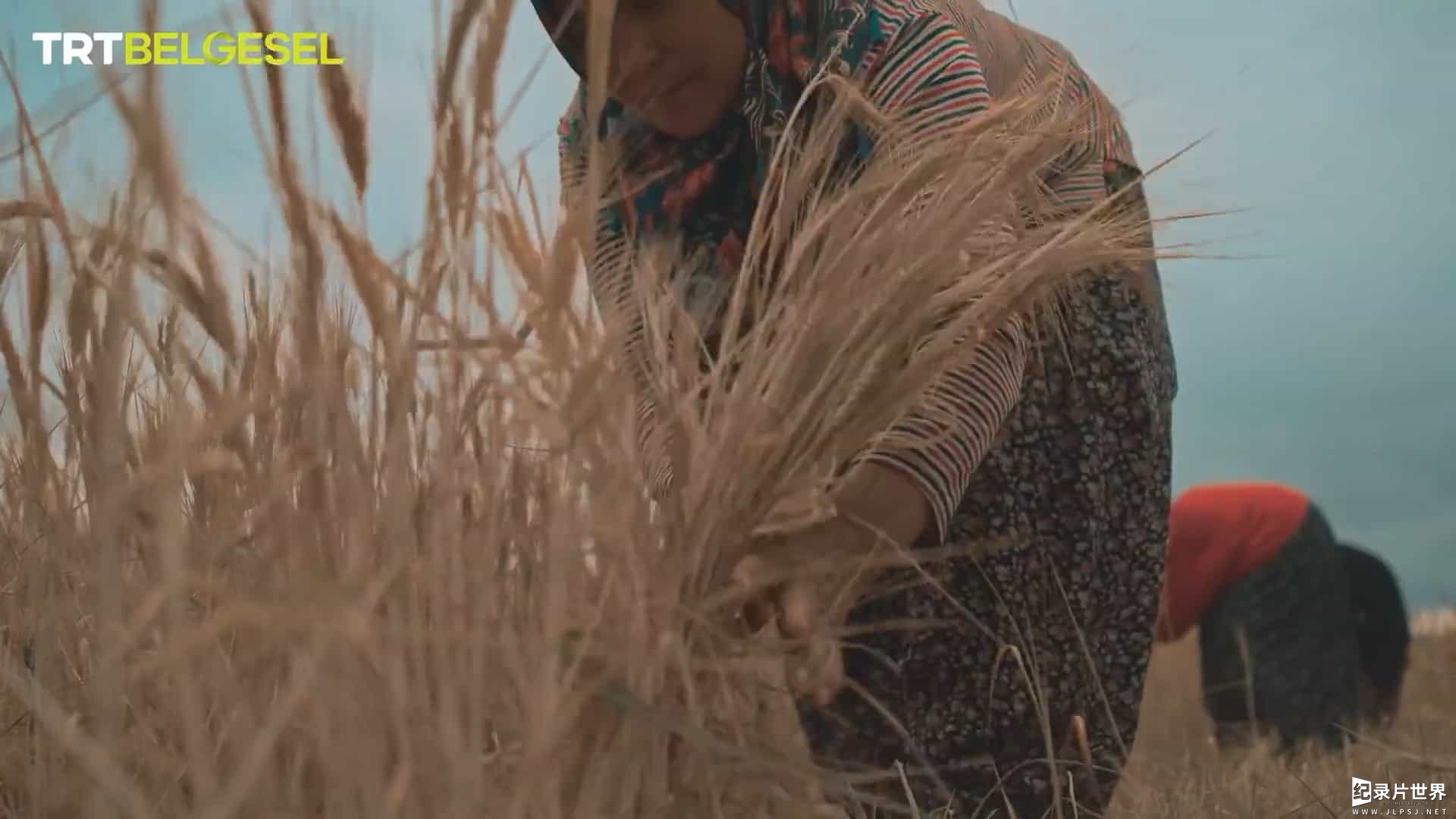 土耳其民俗纪录片《安纳托利亚的村落生活 Village life in Anatolia》全3集