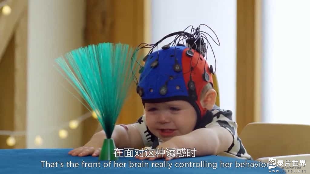 BBC纪录片《北鼻异想世界/BB的小宇宙 The Wonderful World of Babies》全3集