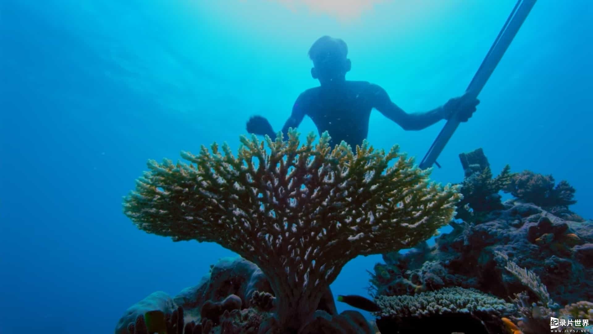 BBC纪录片《蓝星热带岛屿/地球热带岛屿之旅Earths Tropical Islands