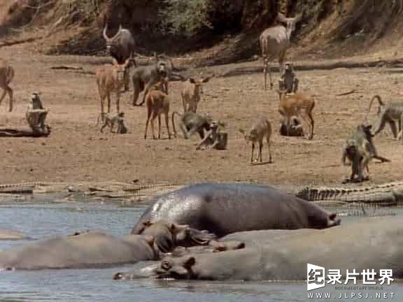 国家地理合集《国家地理百年纪念典藏 National Geographic 100 Years》全100集