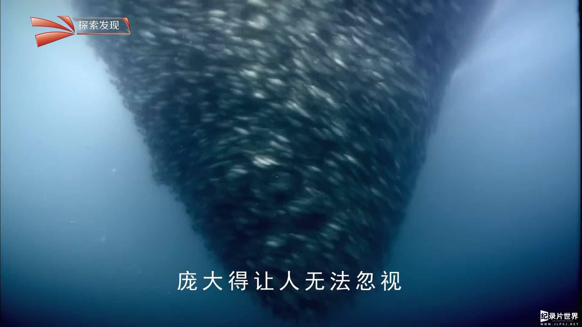 BBC纪录片《超级生物群/超级群体 Super Swarms》全2集