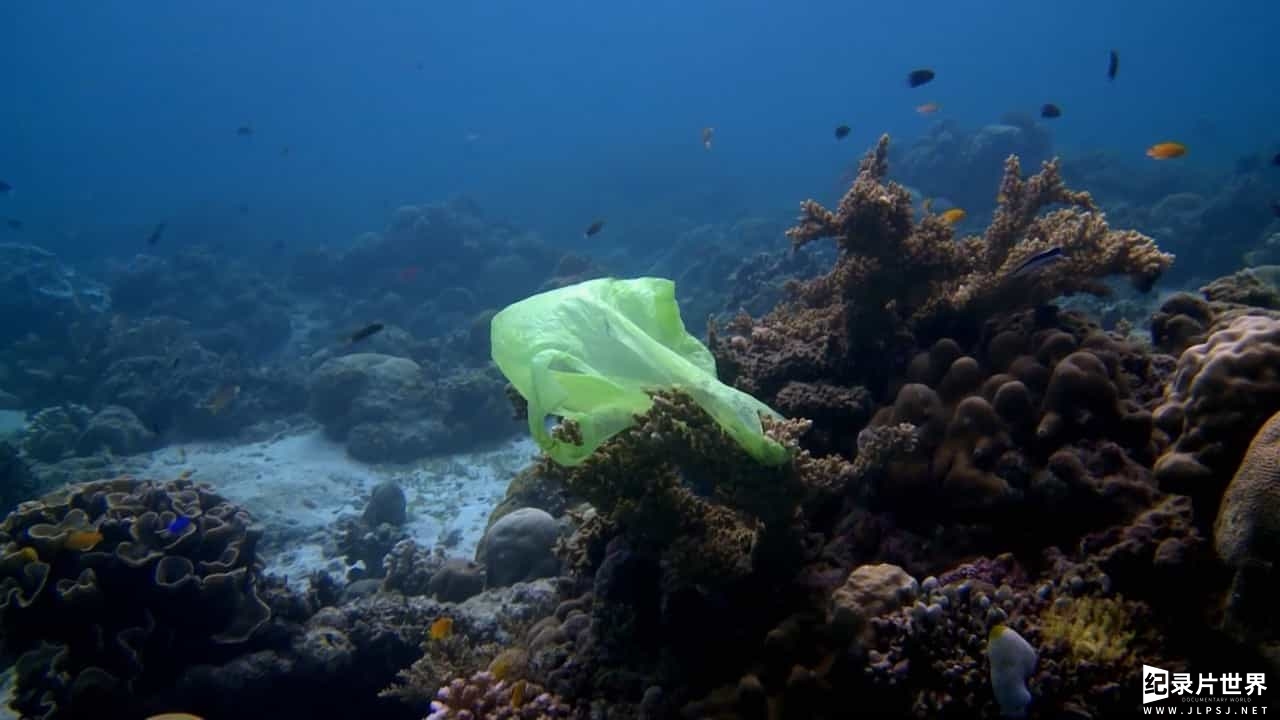 BBC纪录片/精选系列/环境保护《淹死在塑料的海洋中/塑料海洋 Drowning in Plastic 2018》全1集