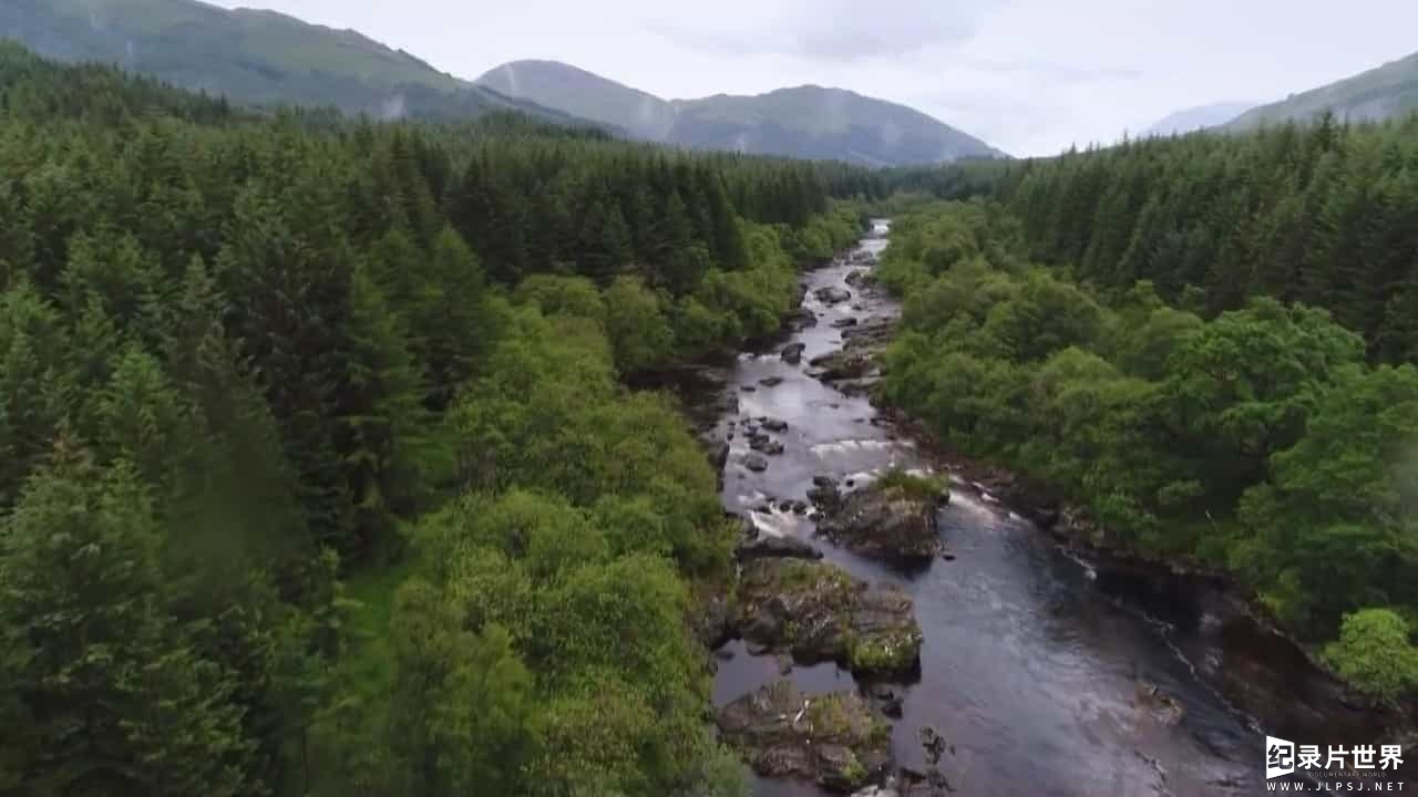 BBC纪录片《狂野英国 Wild UK 2017》全5集