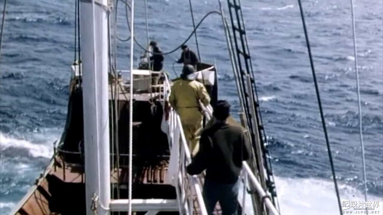 BBC纪录片《英国捕鲸船—不为人知的历史/不列颠猎鲸人 Britain's Whale Hunters The Untold Story 2014》全2集