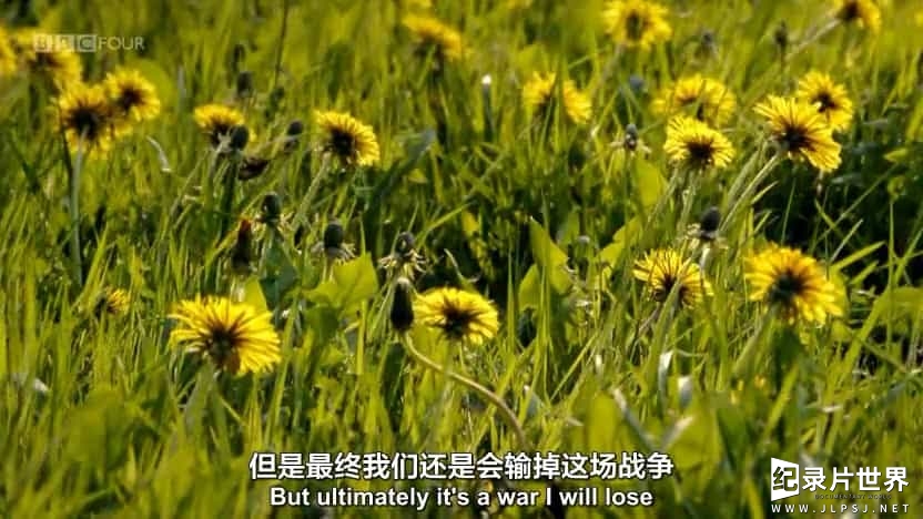  BBC纪录片《野草奇妙物语/奇妙的杂草/ The Wonder of Weeds》全1集