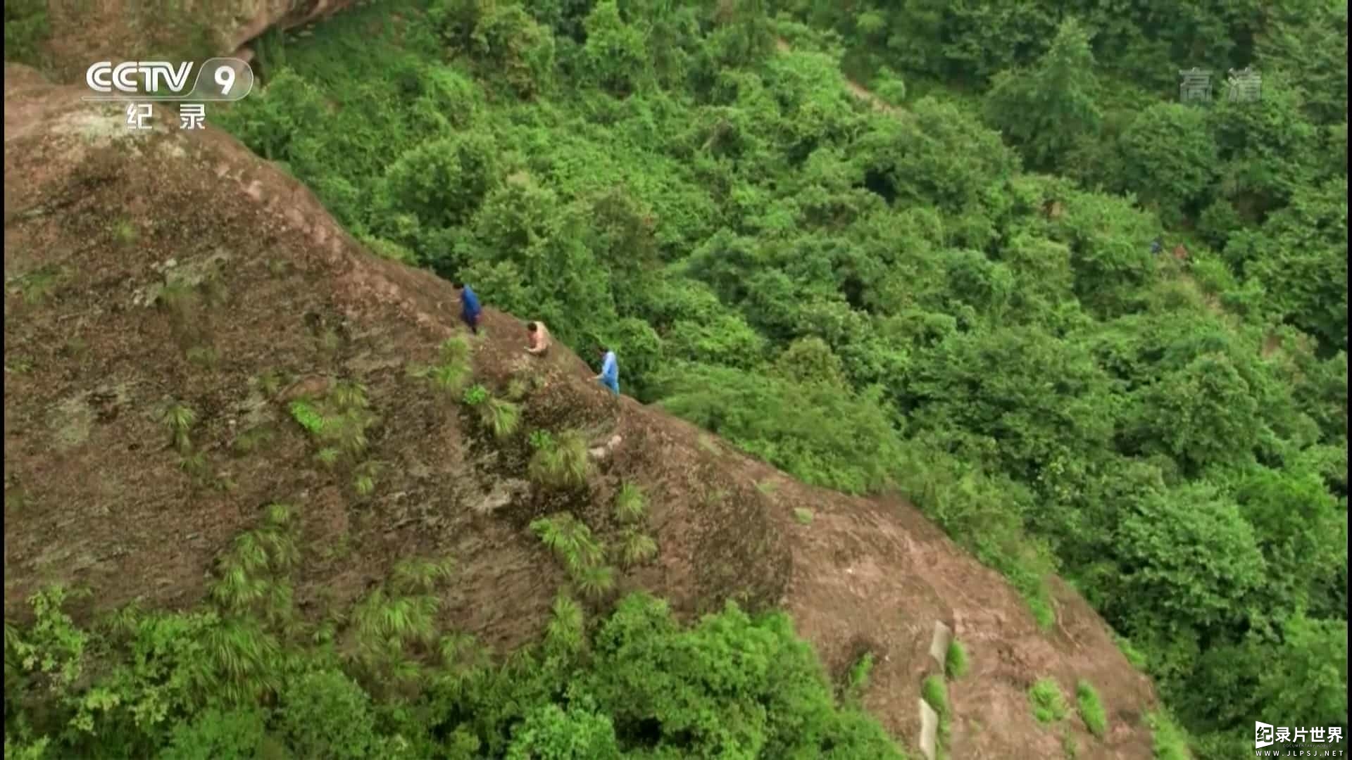 中国乡村纪录片《美丽乡村 Back to the village》全10集