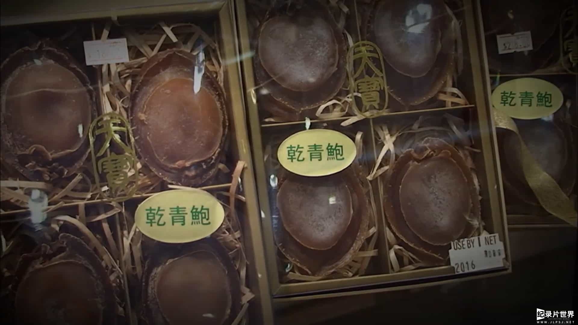 探索频道《深海捕鲍/鲍鱼大战 Abalone Wars》第1-5季全16集 