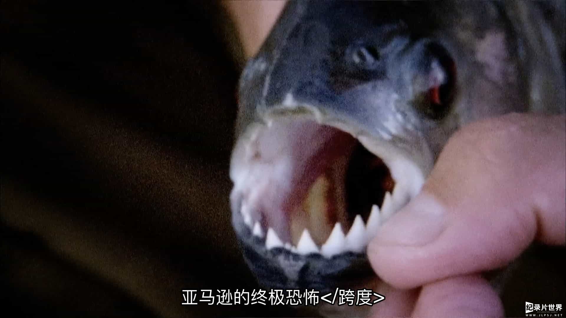 探索频道《河中巨怪/河中探秘 River Monsters 2009-2018》第1-9季全58集