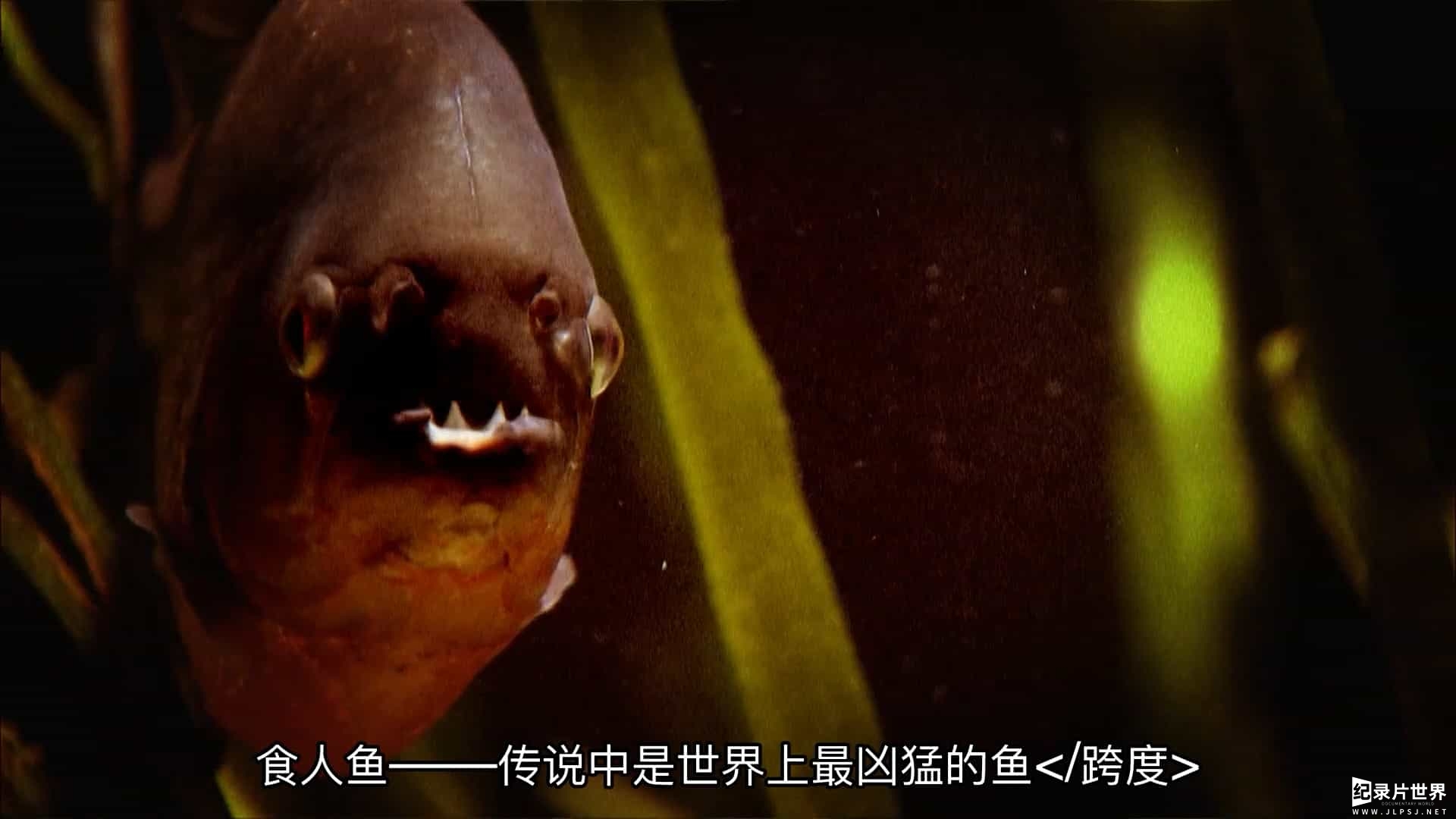 探索频道《河中巨怪/河中探秘 River Monsters 2009-2018》第1-9季全58集