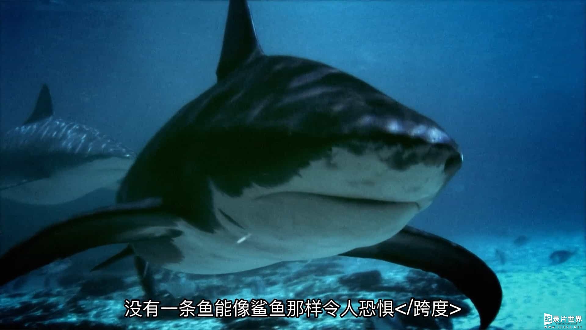 探索频道《河中巨怪/河中探秘 River Monsters 2009-2018》第1-9季全58集