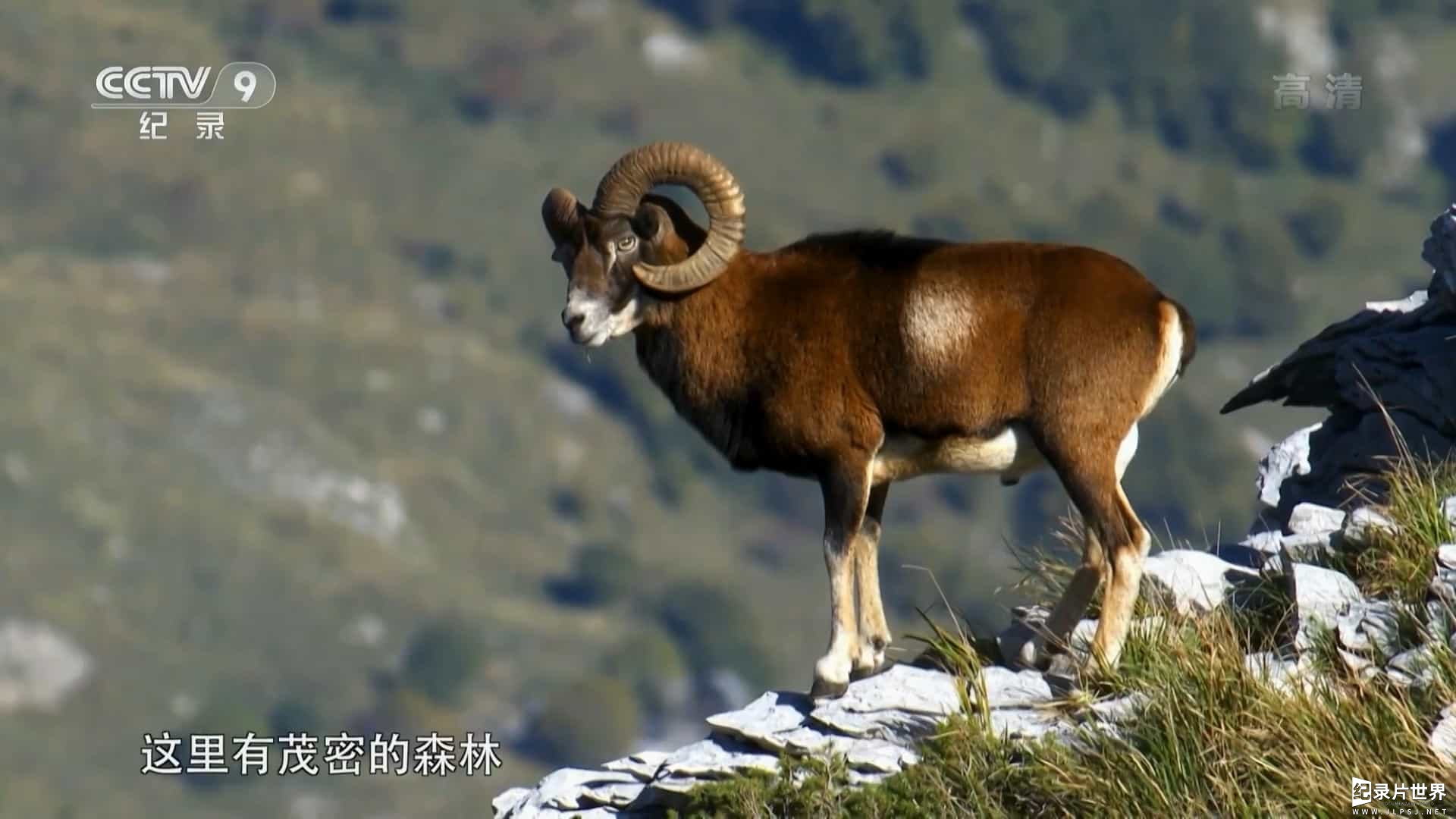 西班牙纪录片《野性撒丁岛 Wild Sardinia 2017》全1集