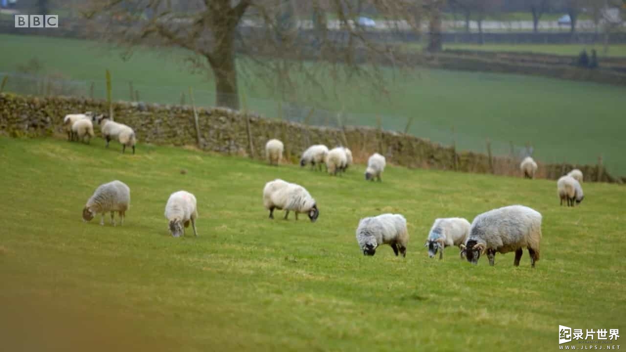 BBC纪录片《惊艳之美：英国的工业艺术 Awesome Beauty The Art of Industrial Britain 2017》全1集