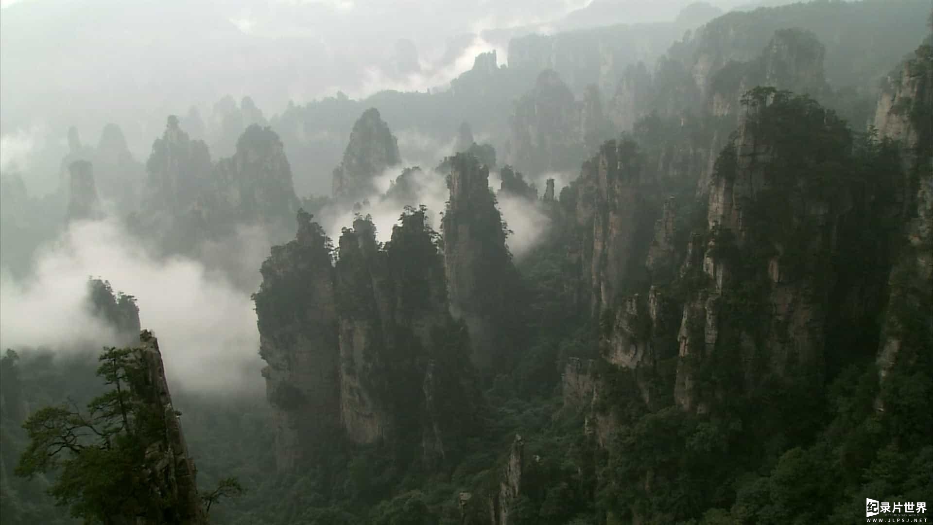 风景纪录片《旅游圣地张家界 2008》全1集