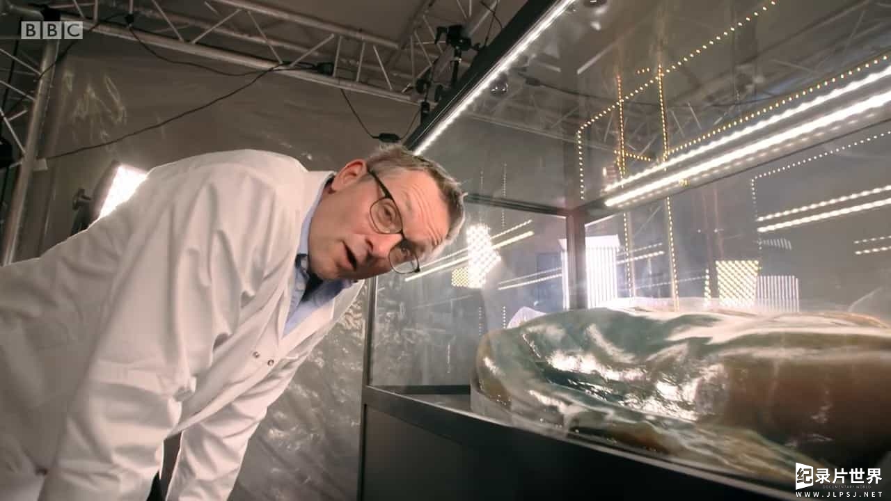 BBC纪录片《医生vs超级病菌 Michael Mosley vs The Superbugs 2017》全1集