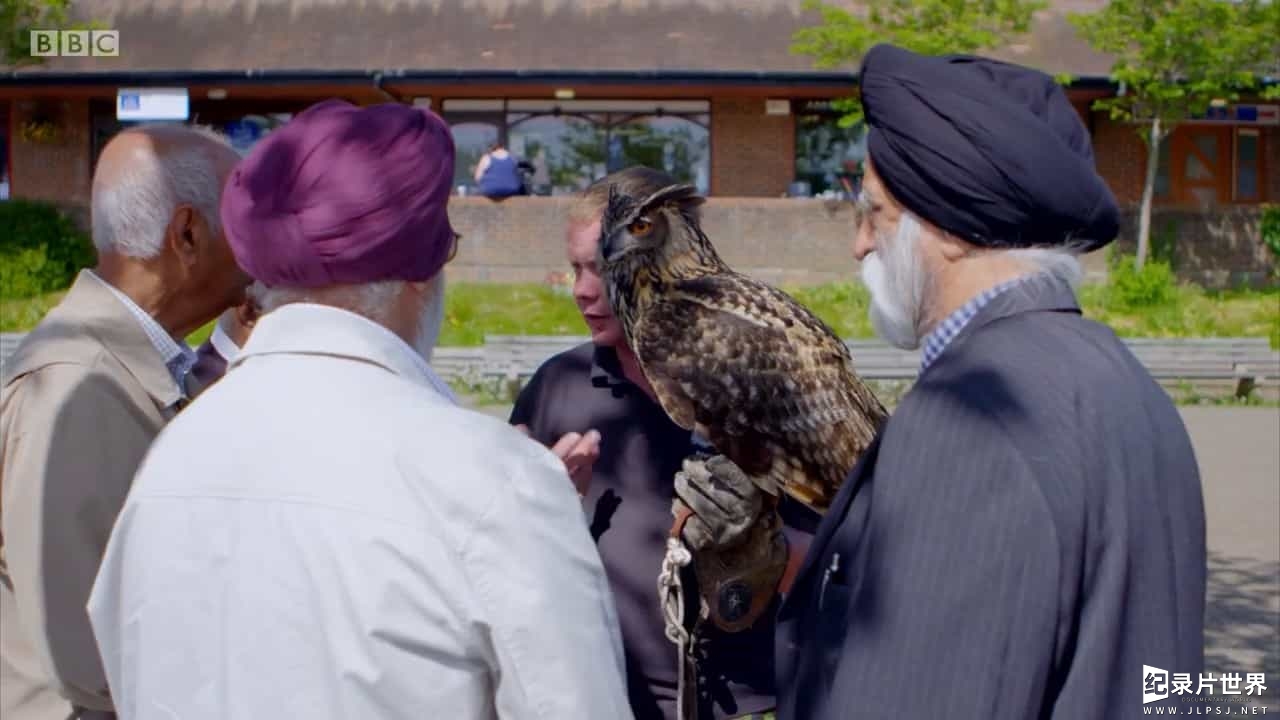 BBC纪录片《英国防止虐待动物协会的问题 Trouble at the RSPCA 2017》全1集