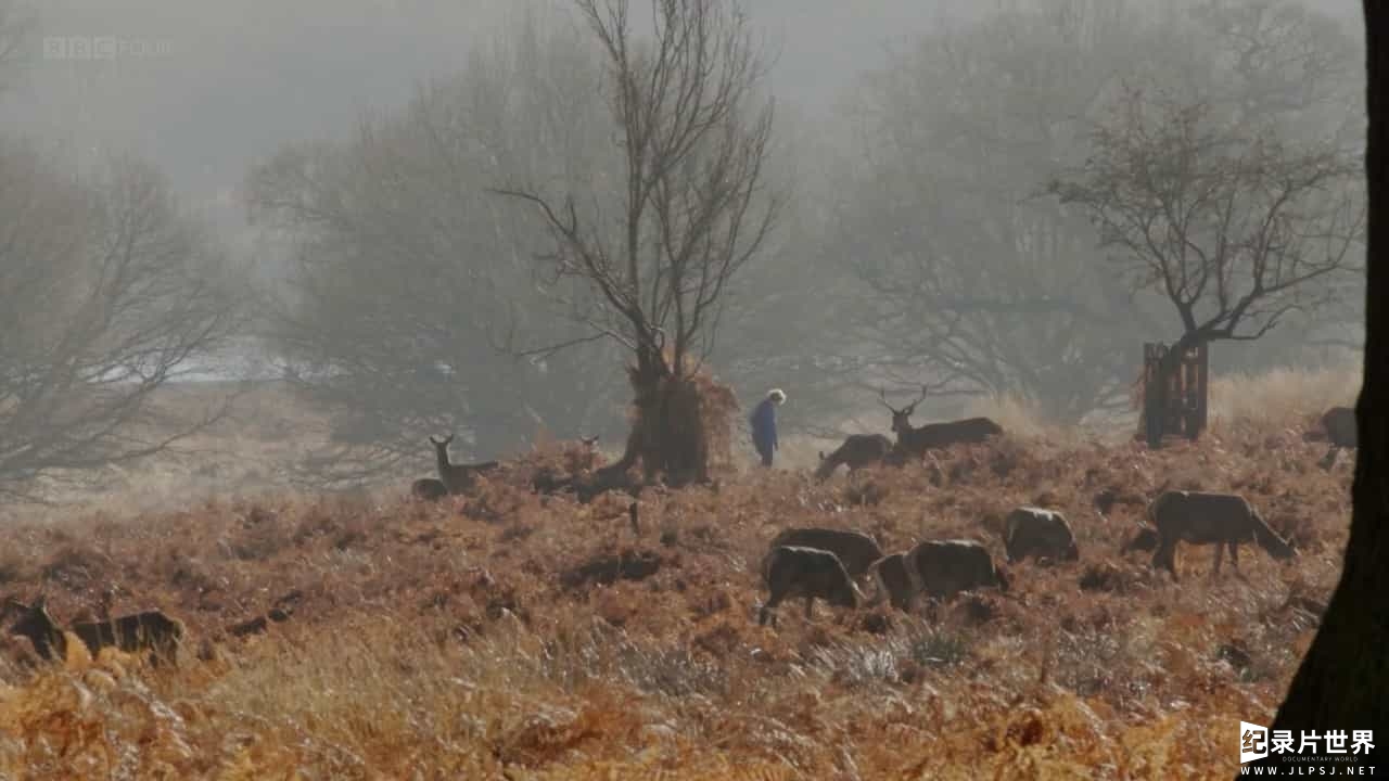 BBC纪录片《追寻世外桃源：英式庭园/寻找世外桃源：英式庭院发展史 In Search of Arcadia 2017》全1集