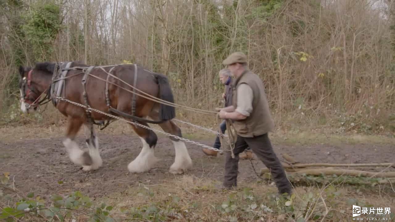 BBC纪录片《追寻世外桃源：英式庭园/寻找世外桃源：英式庭院发展史 In Search of Arcadia 2017》全1集