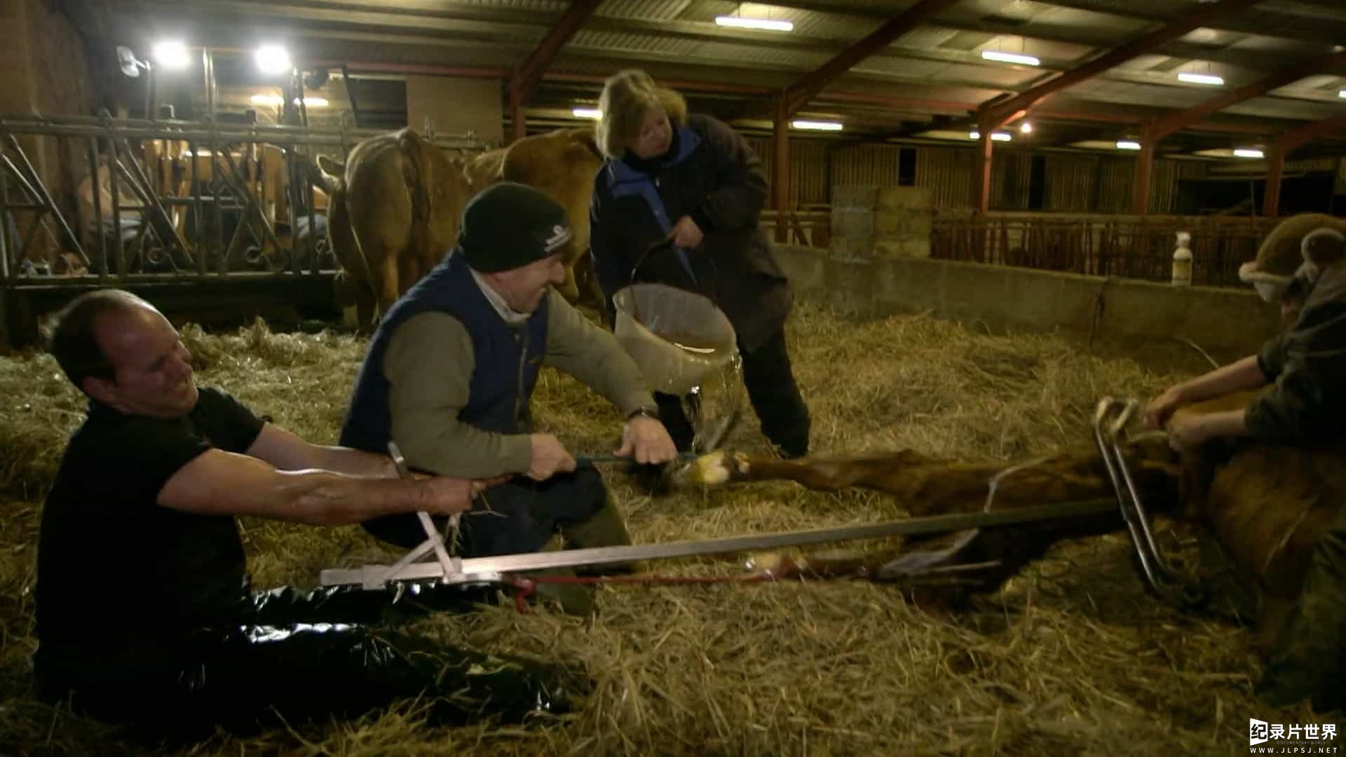 BBC纪录片《农耕生活/农场生活/耕种生活 This Farming Life 2016-2022》第1-5季全60集