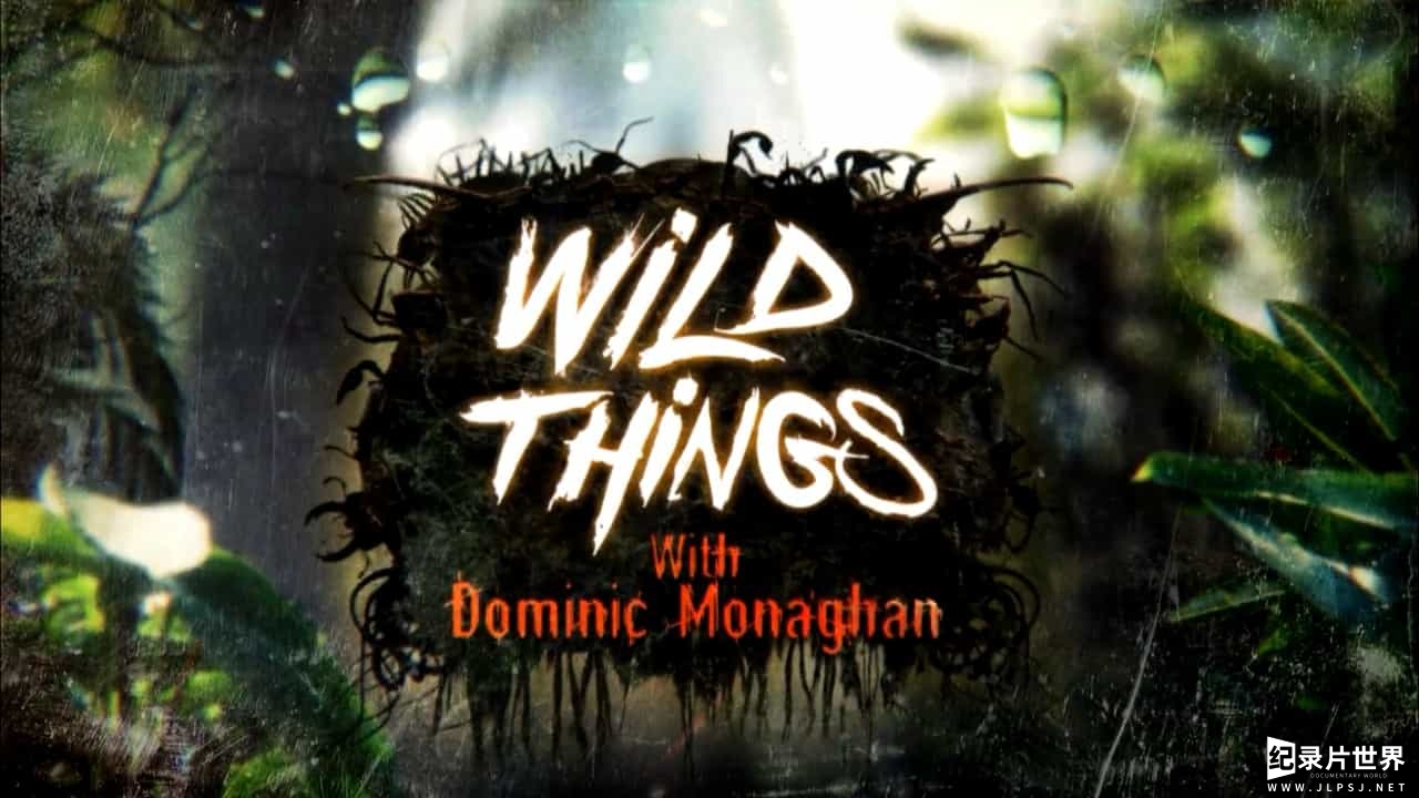 BBC纪录片《玩命接触 Wild Things With Dominic Monaghan》共8集 