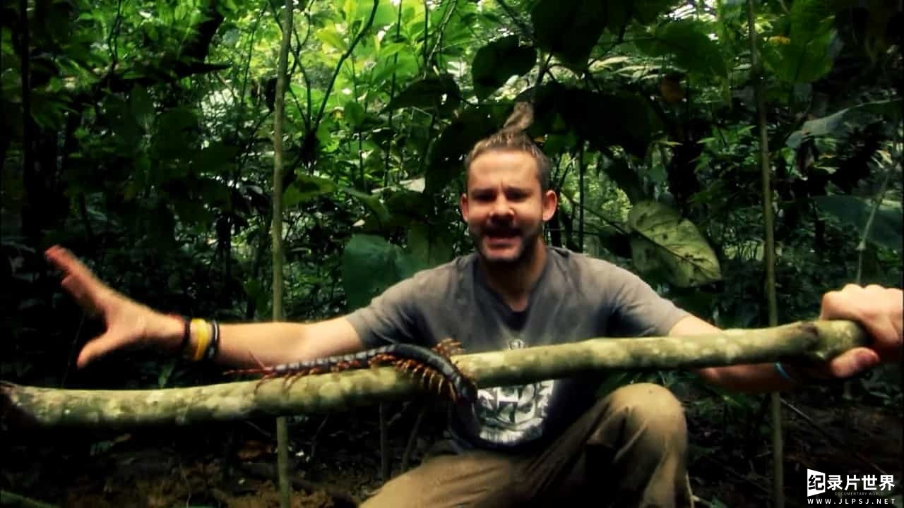 BBC纪录片《玩命接触 Wild Things With Dominic Monaghan》共8集 