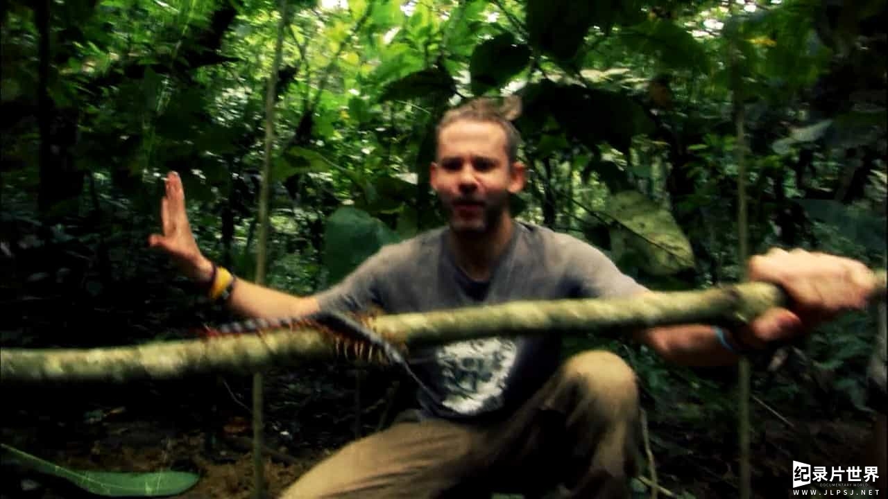 BBC纪录片《玩命接触 Wild Things With Dominic Monaghan》共8集 