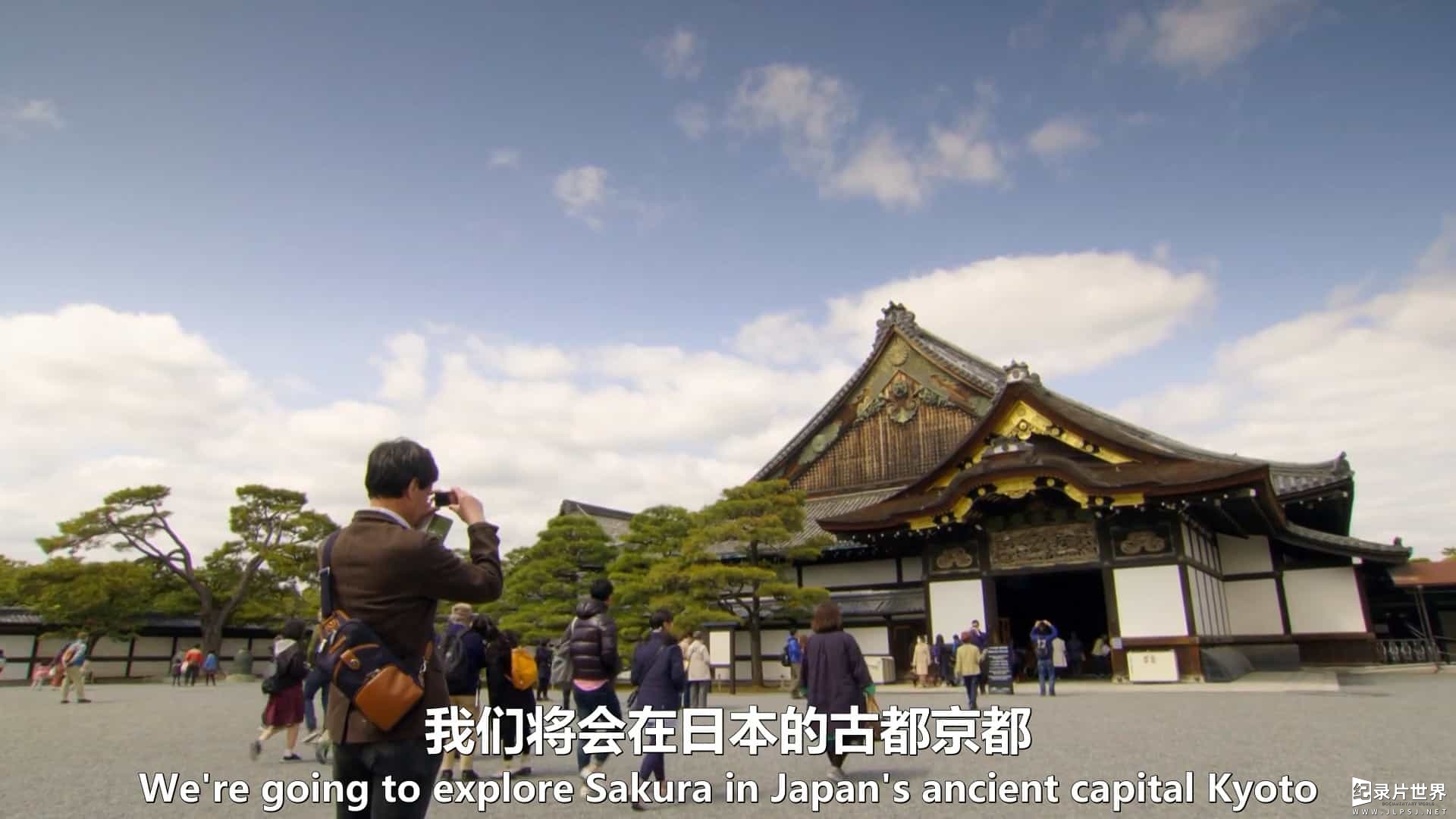 BBC纪录片《日本赏春—樱花盛开时节 Springwatch in Japan Cherry Blossom Time 2017》全1集