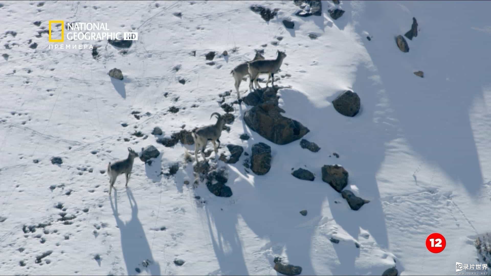 国家地理《水深火热的星球Hostile Planet》第1季