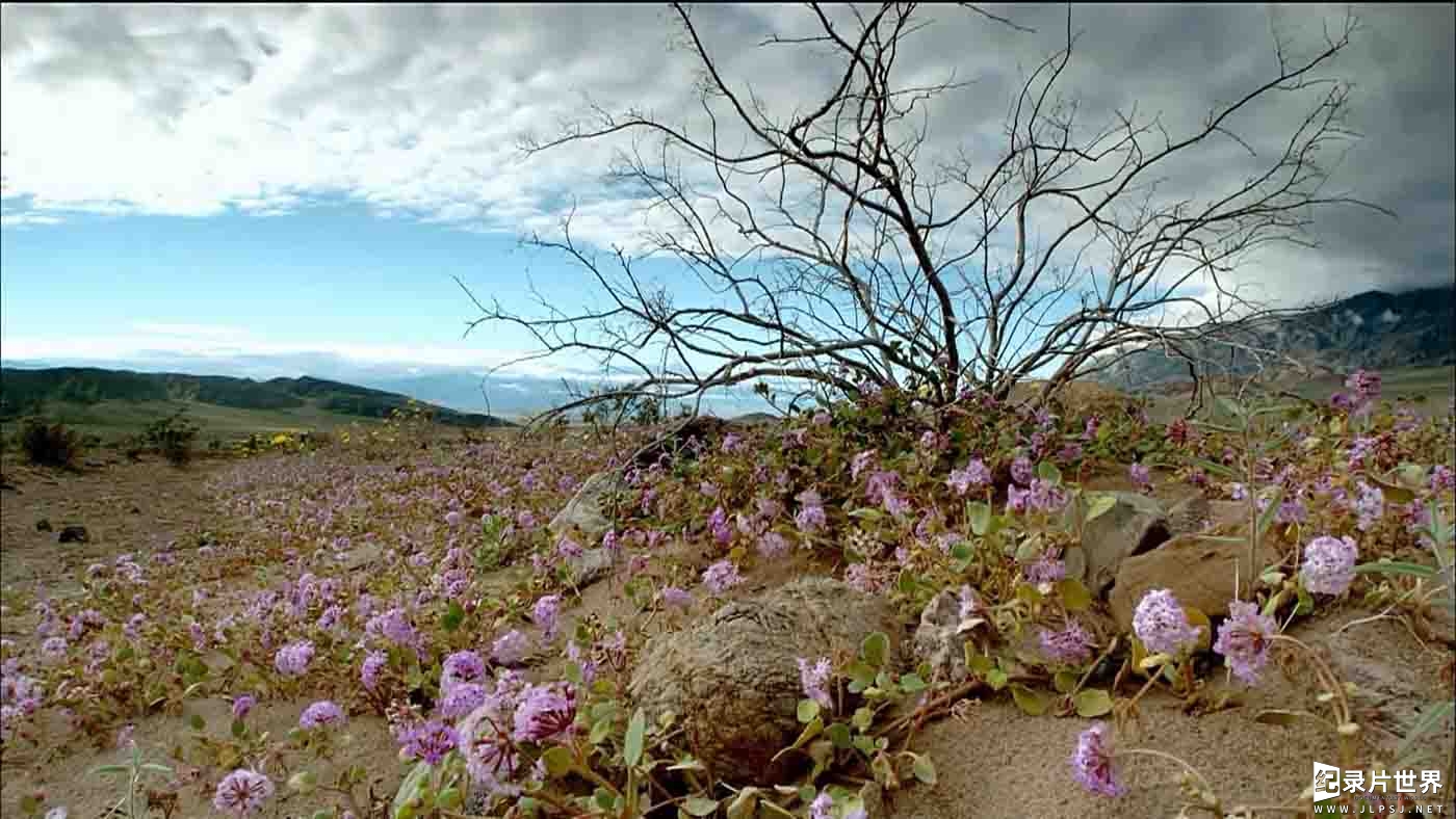 IMAX纪录片《北美国家公园/永恒壮丽的北美国家公园 North America's National Parks 2009》全1集