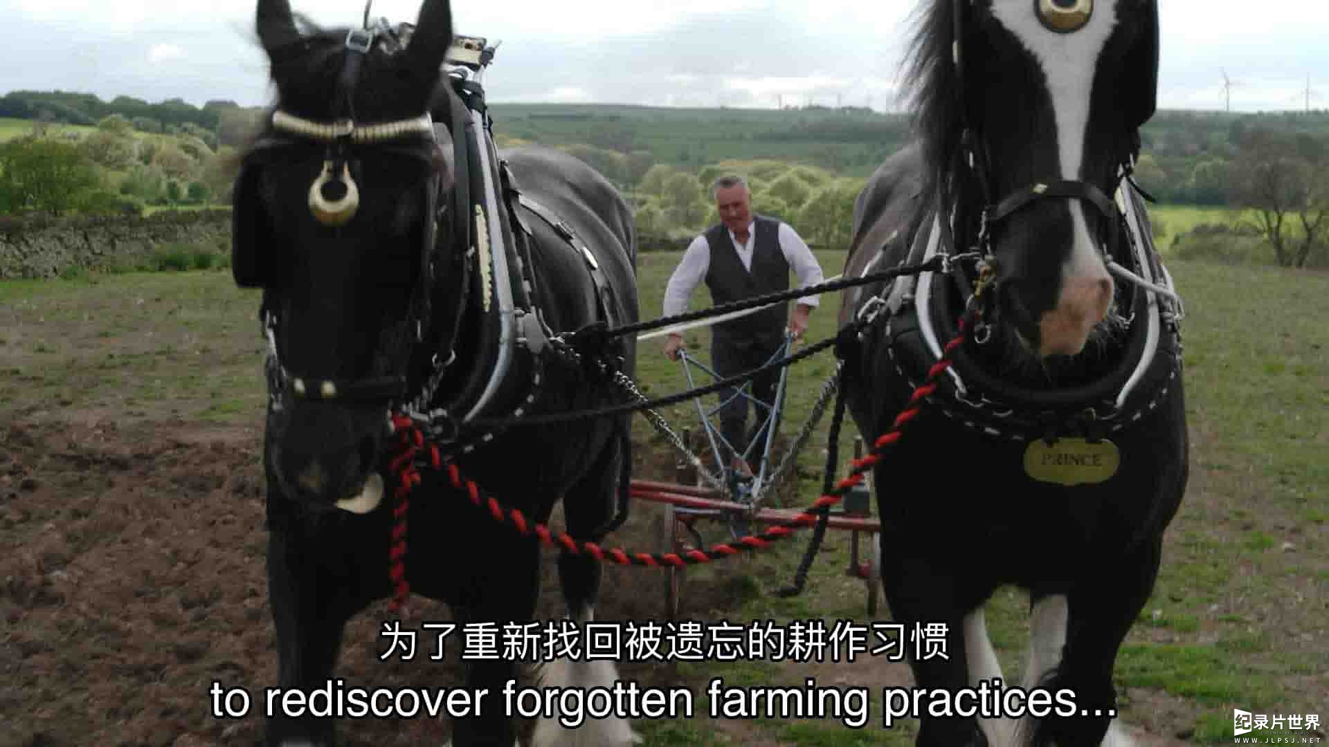 Ch5纪录片《穿越时空的农场 A Farm Through Time 2022》全3集