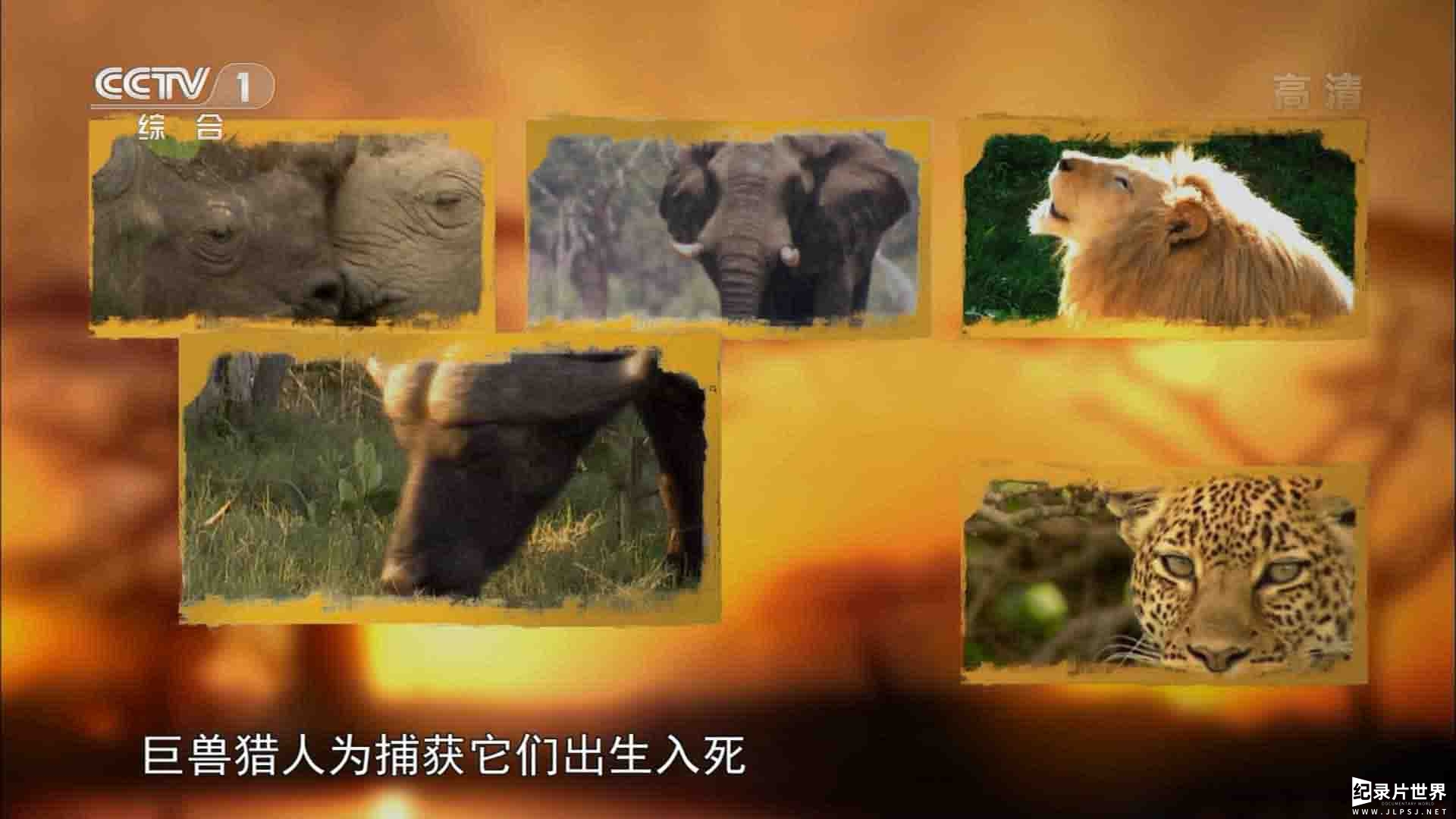 央视纪录片《南美五猛兽》全5集