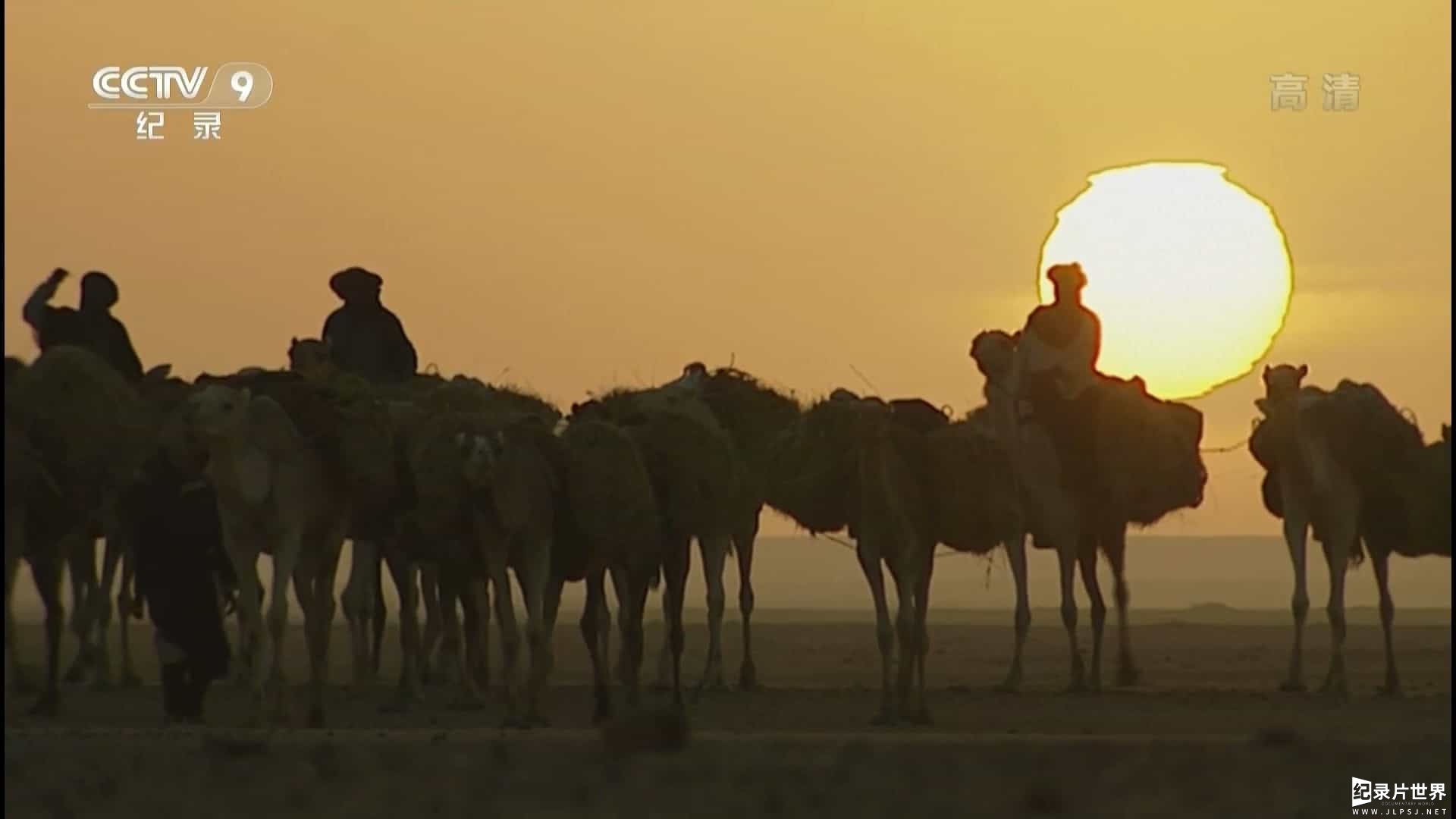 西班牙纪录片《沙漠中的图阿雷格部落 Tuaregs: The Warriors of the Dunes 2013》全1集