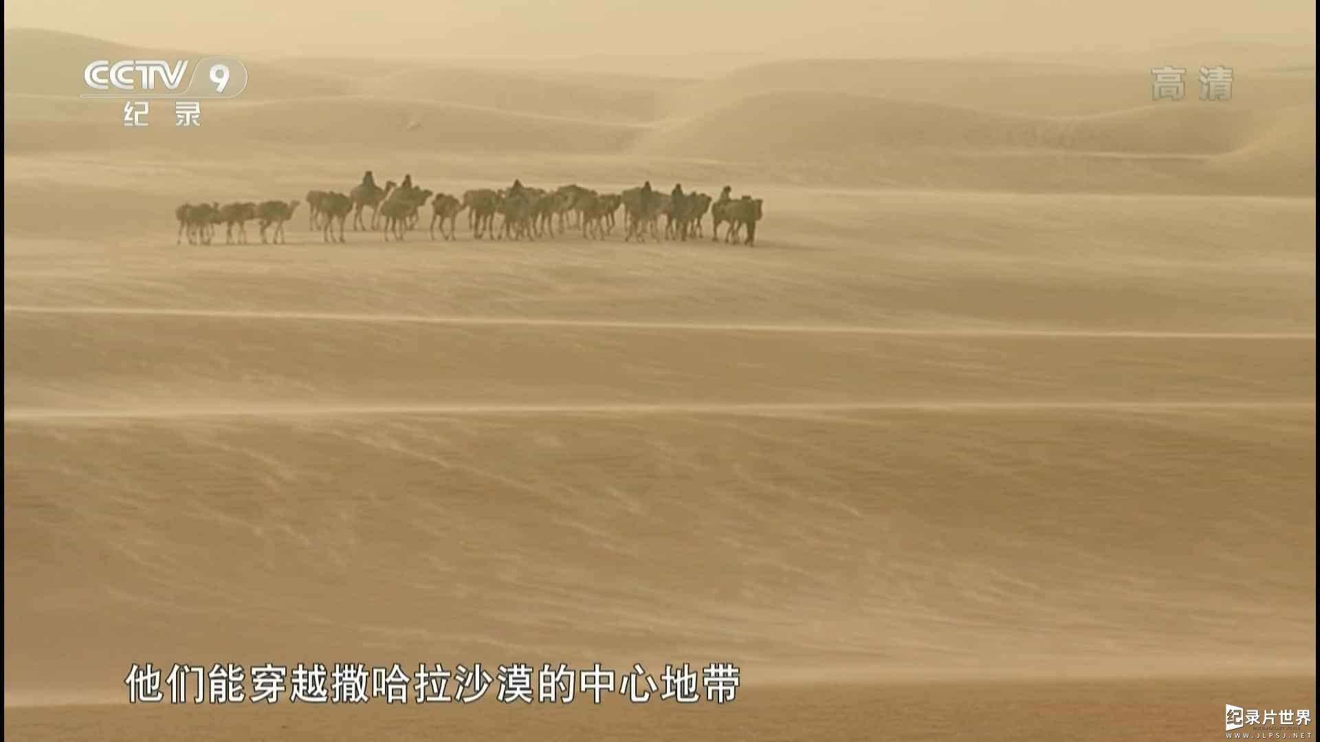 西班牙纪录片《沙漠中的图阿雷格部落 Tuaregs: The Warriors of the Dunes 2013》全1集