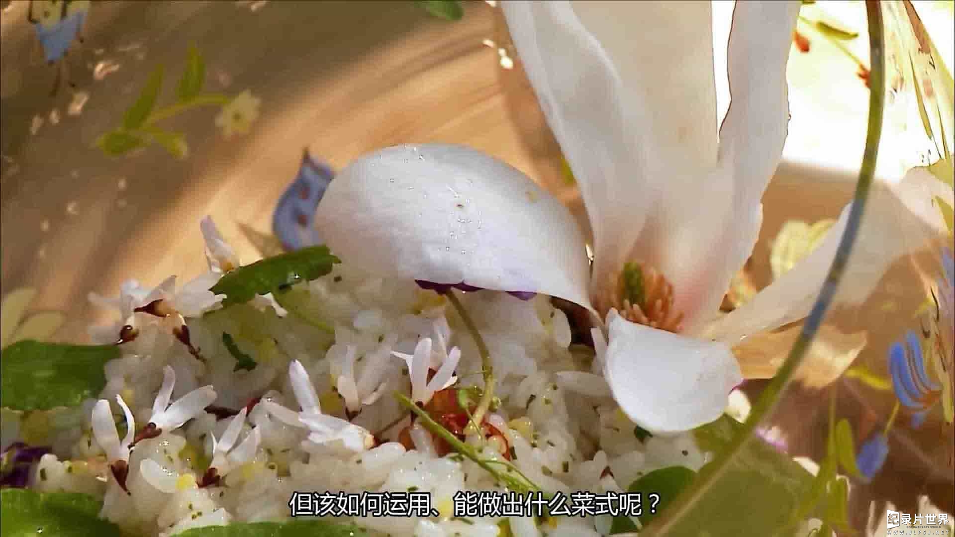 韩国纪录片《流浪厨师/饭情 The Wandering Chef 2019》全1集