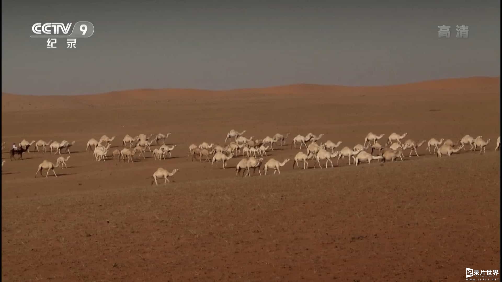 奥地利纪录片《沙漠之舟 Ships of the Desert 2012》全1集