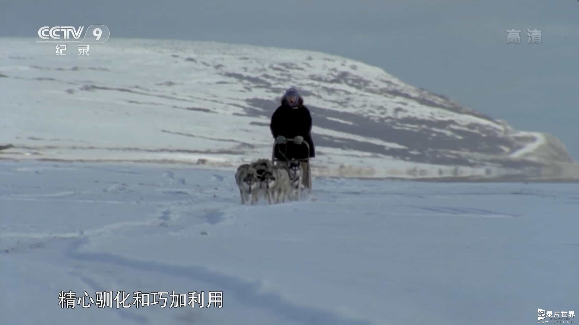 澳大利亚纪录片《改变历史的动物 Animals that Changed History 2016》全6集