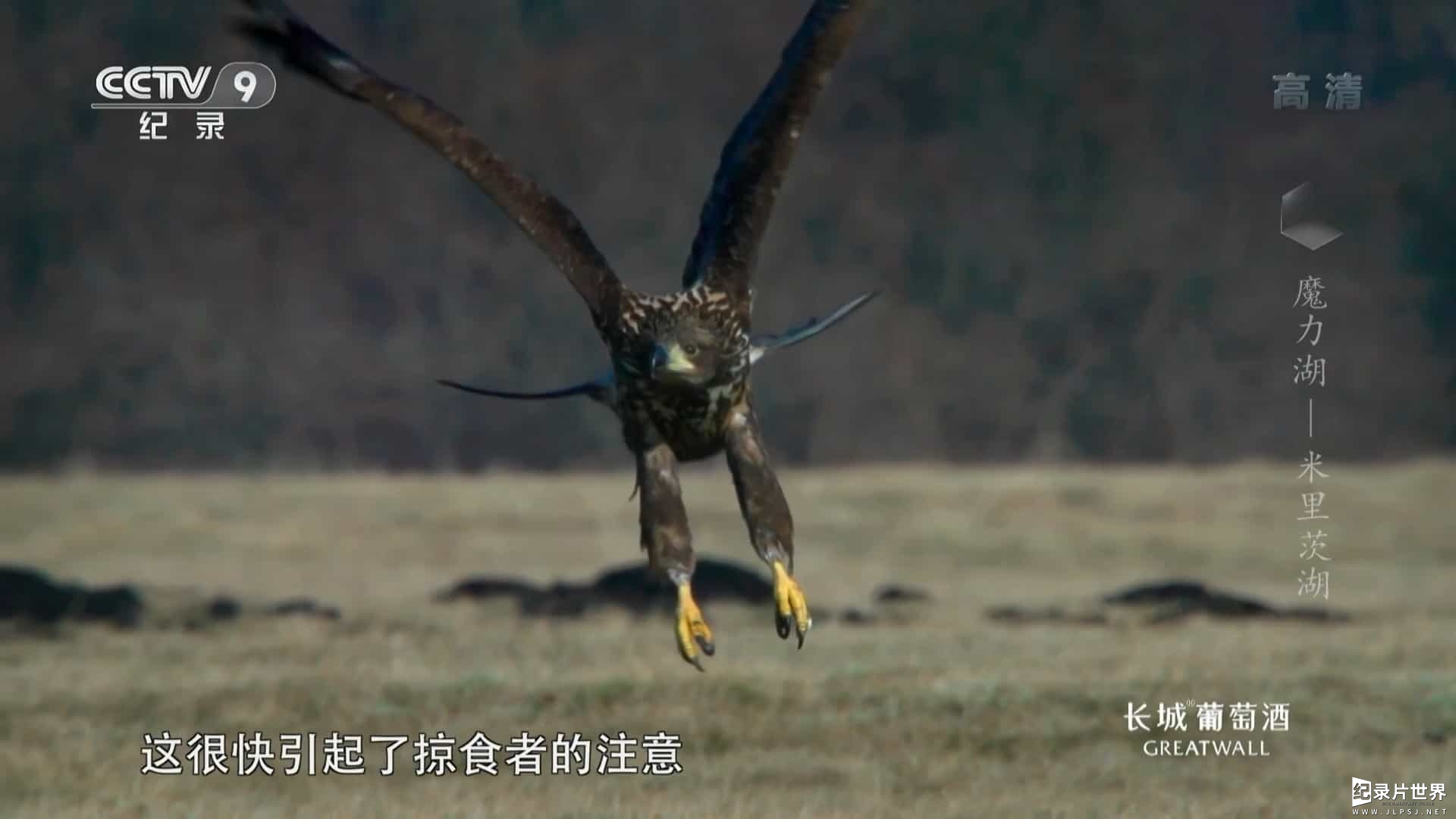 央视纪录片《魔力湖-米里茨湖 Magic Lakes 2016》全1集