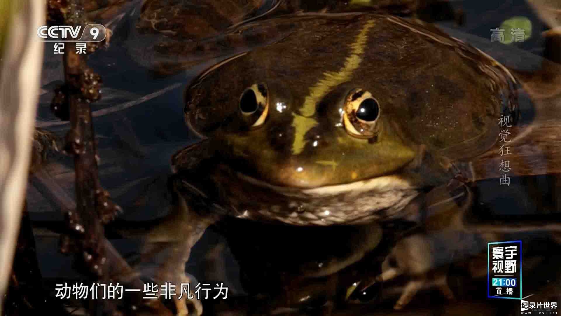 央视纪录片《视觉狂想曲 Inside Nature’s Eyes 2016》全1集