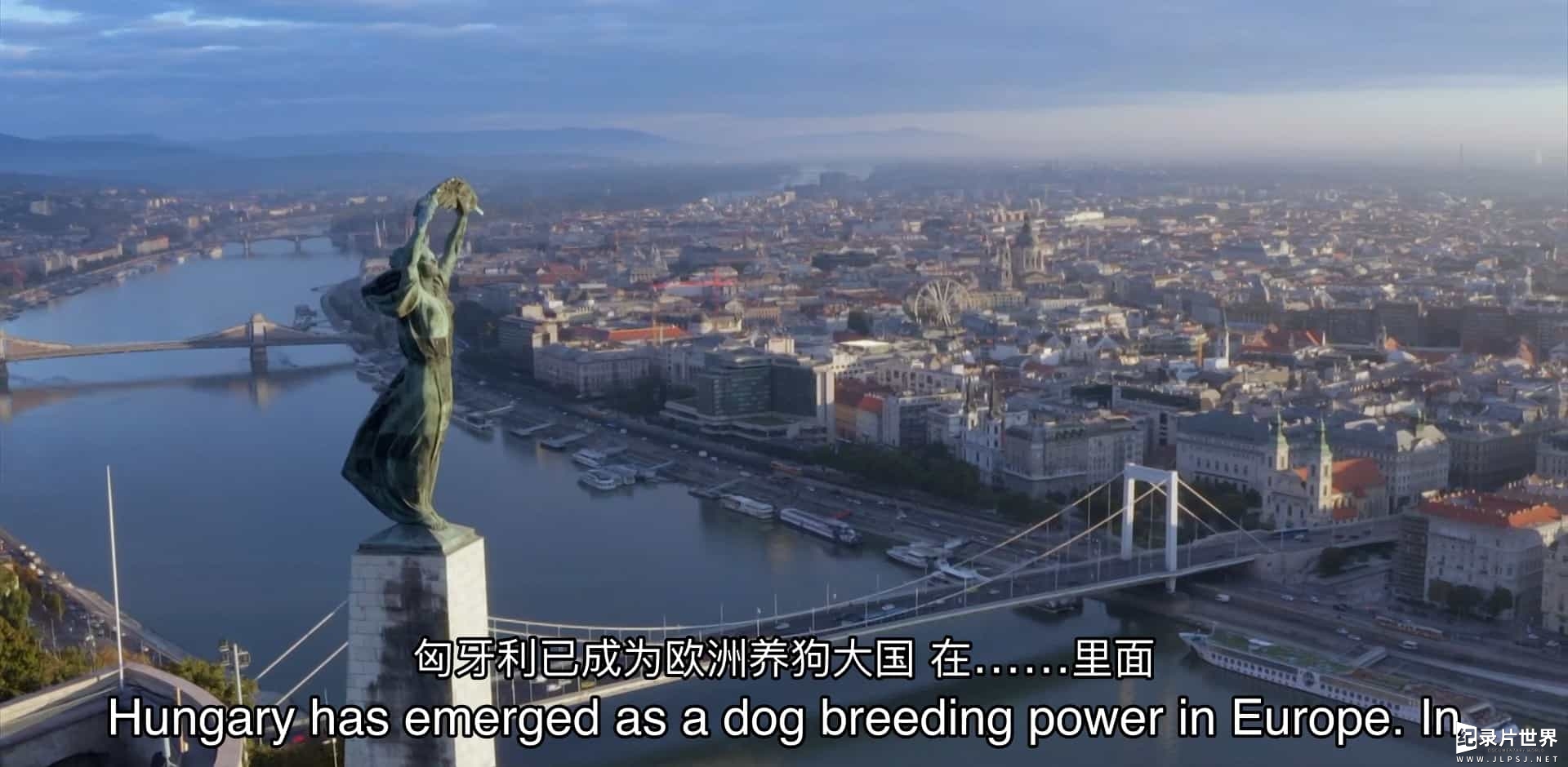 BBC纪录片《非法幼犬贸易的内幕 Inside the Illegal Puppy Trade 2023》全1集 