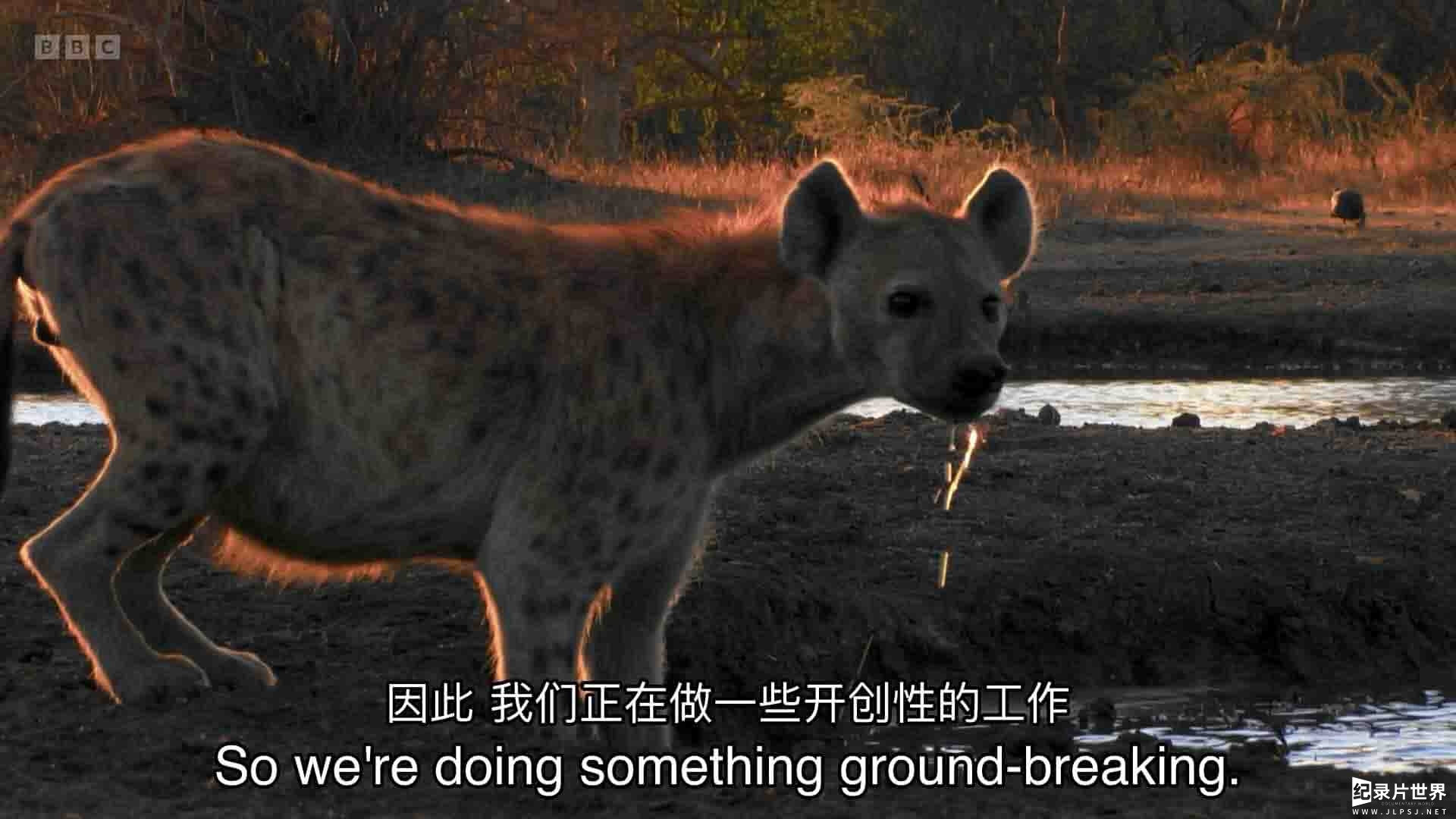 BBC纪录片《水塘故事：非洲动物的生命绿洲 Waterhole:Africa's Animal Oasis 2020》第1季全3集