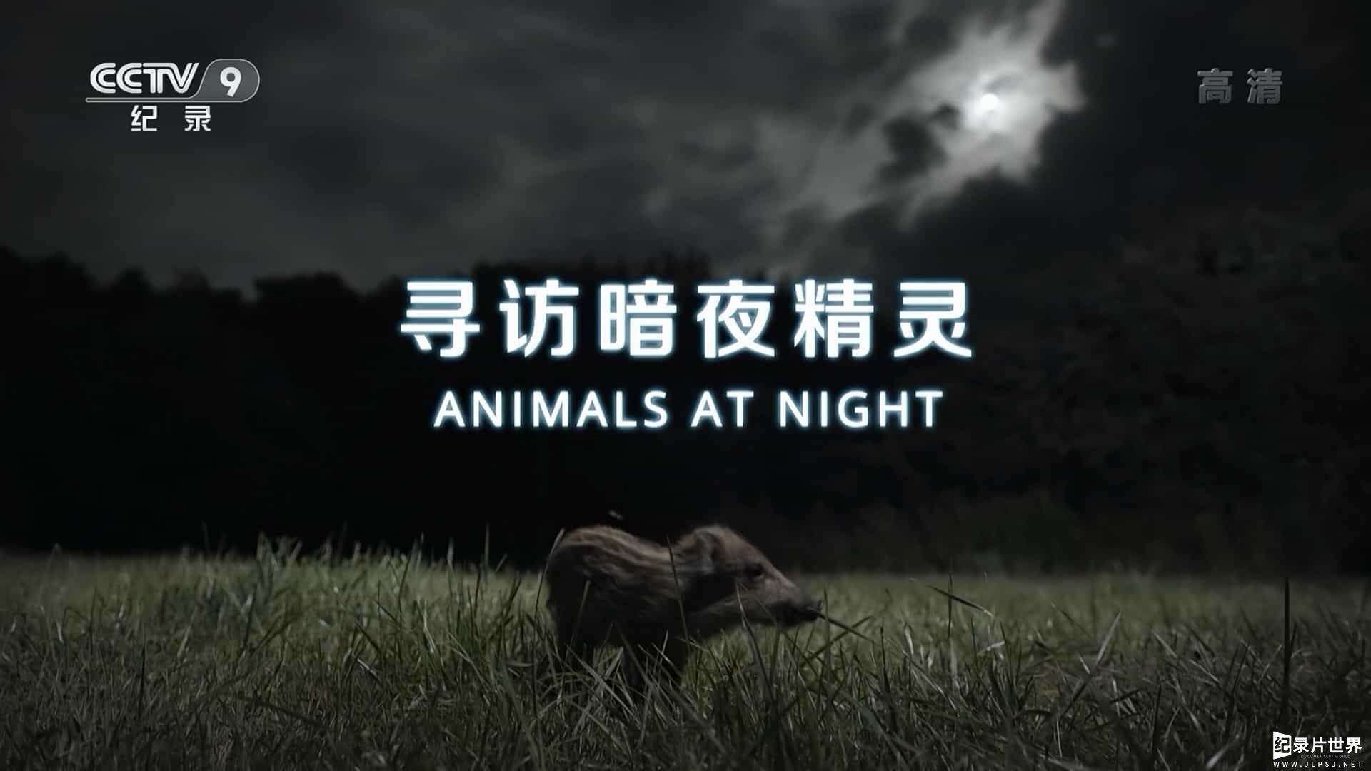 法国纪录片《寻访暗夜精灵 Animals at Night 2017》全1集