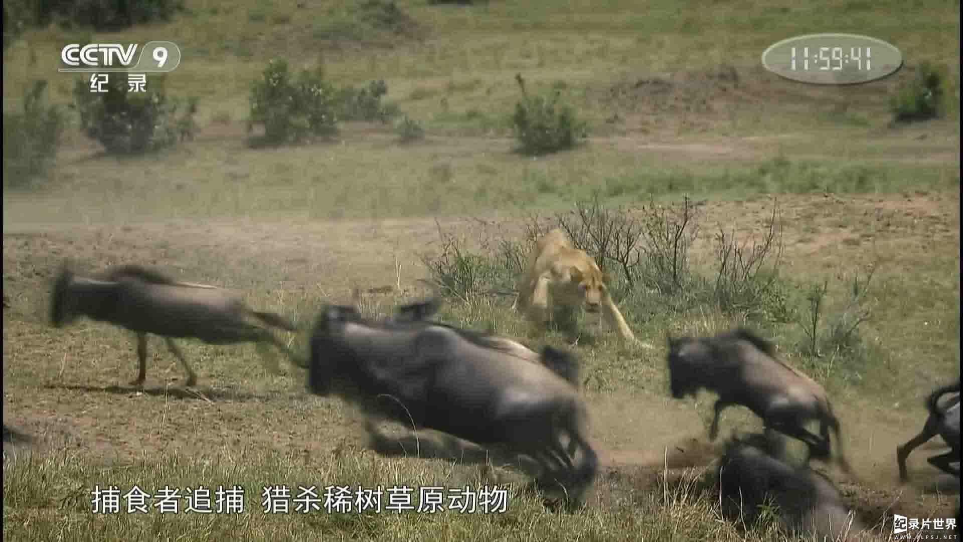 央视纪录片《自然界最壮观的旅程/塞伦盖蒂：自然界最壮观的旅程 Serengeti: Nature’s Greatest Journey 2015》全1集 