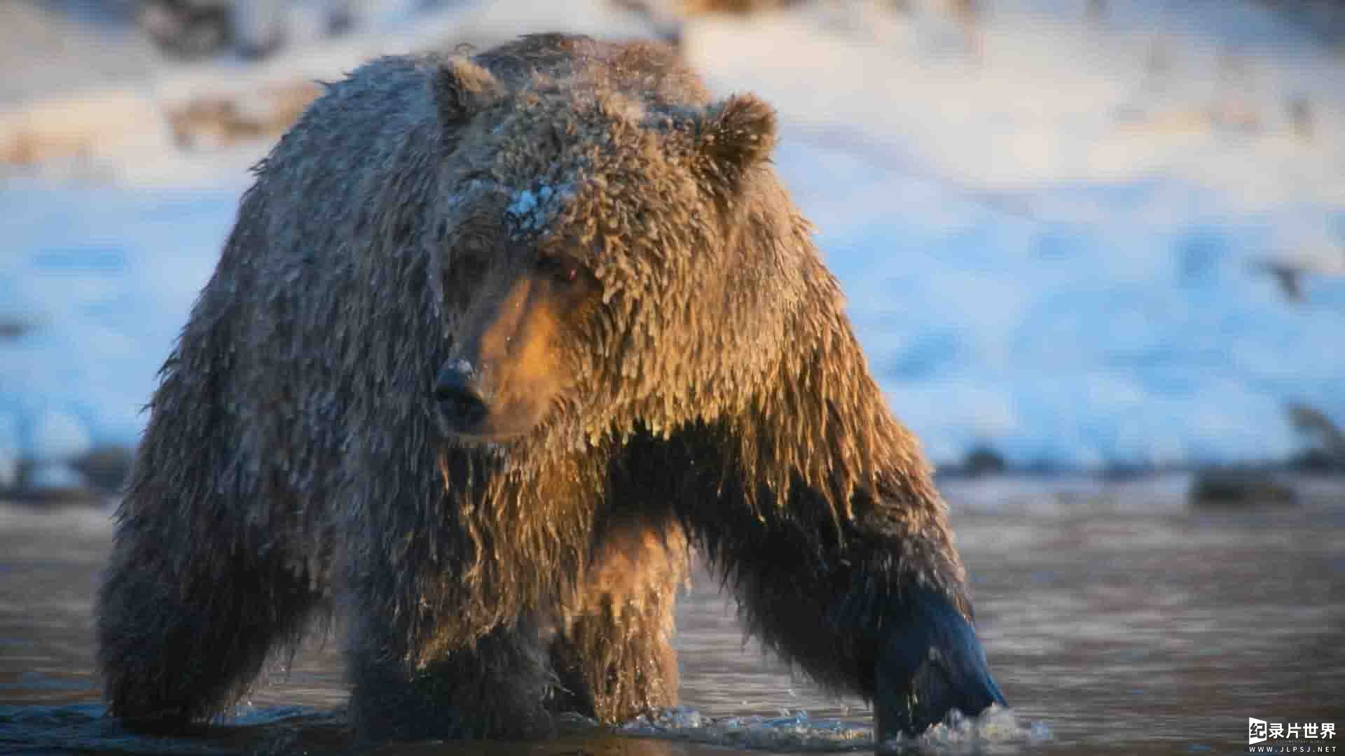 ITV纪录片《地球上的一年 A Year on Planet Earth 2022》第1季全6集